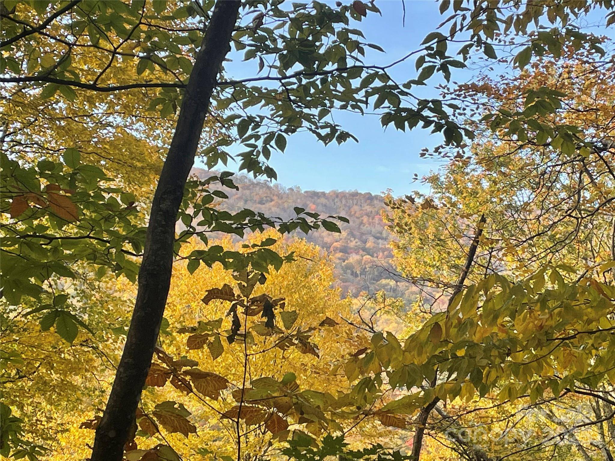 96 Chestnut LN #96, Mars Hill, NC 28754