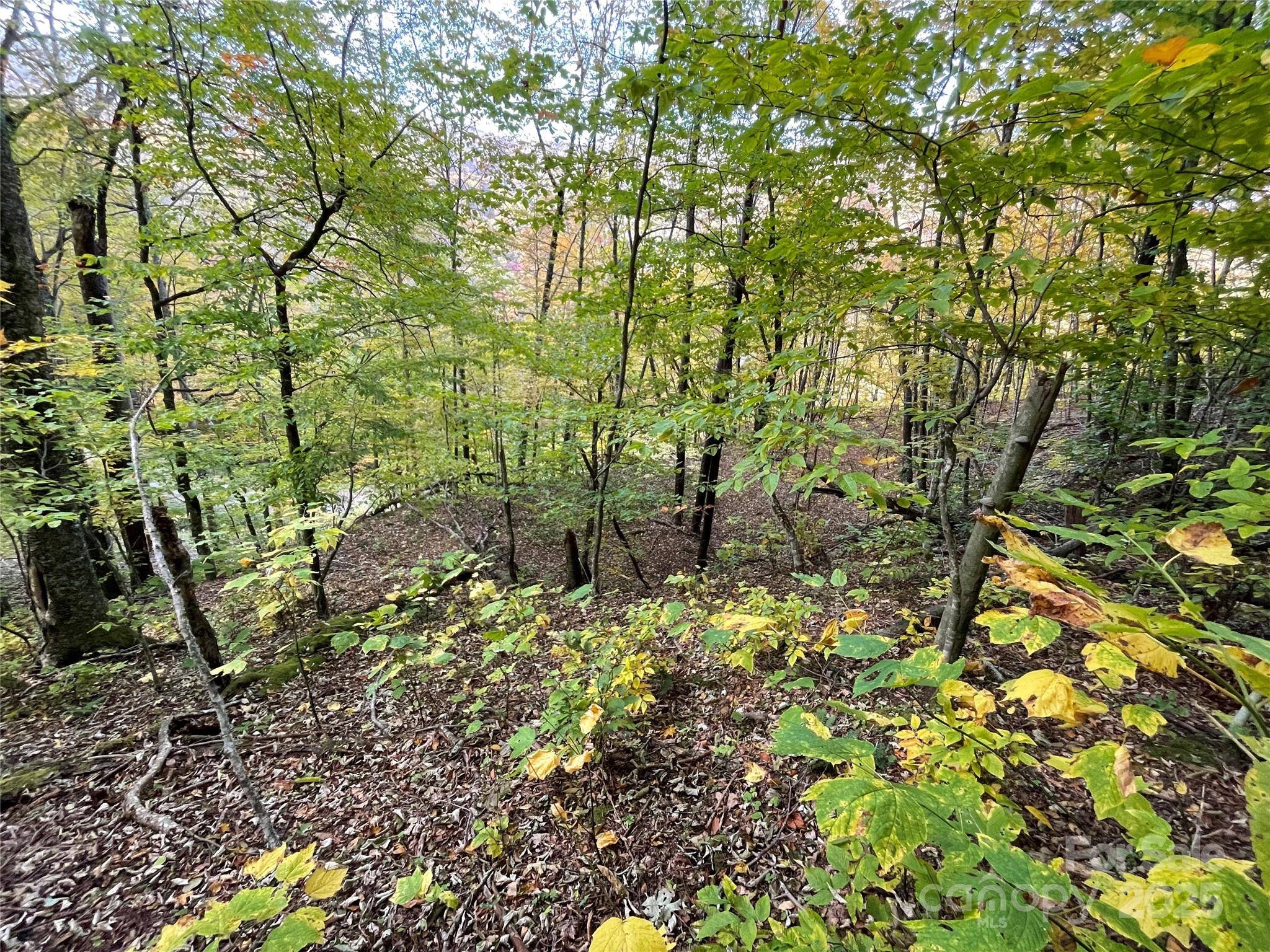 96 Chestnut LN #96, Mars Hill, NC 28754