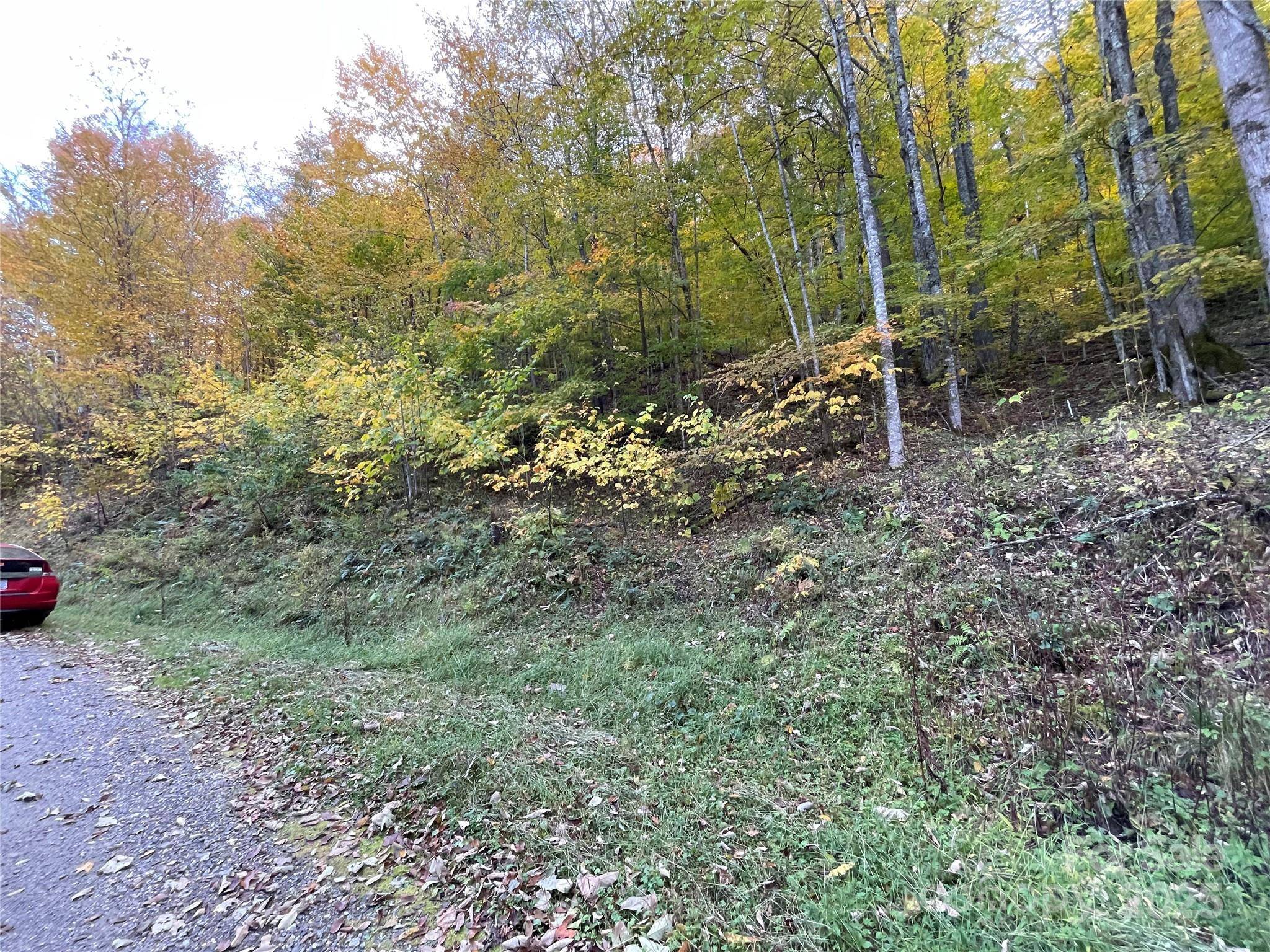 96 Chestnut LN #96, Mars Hill, NC 28754