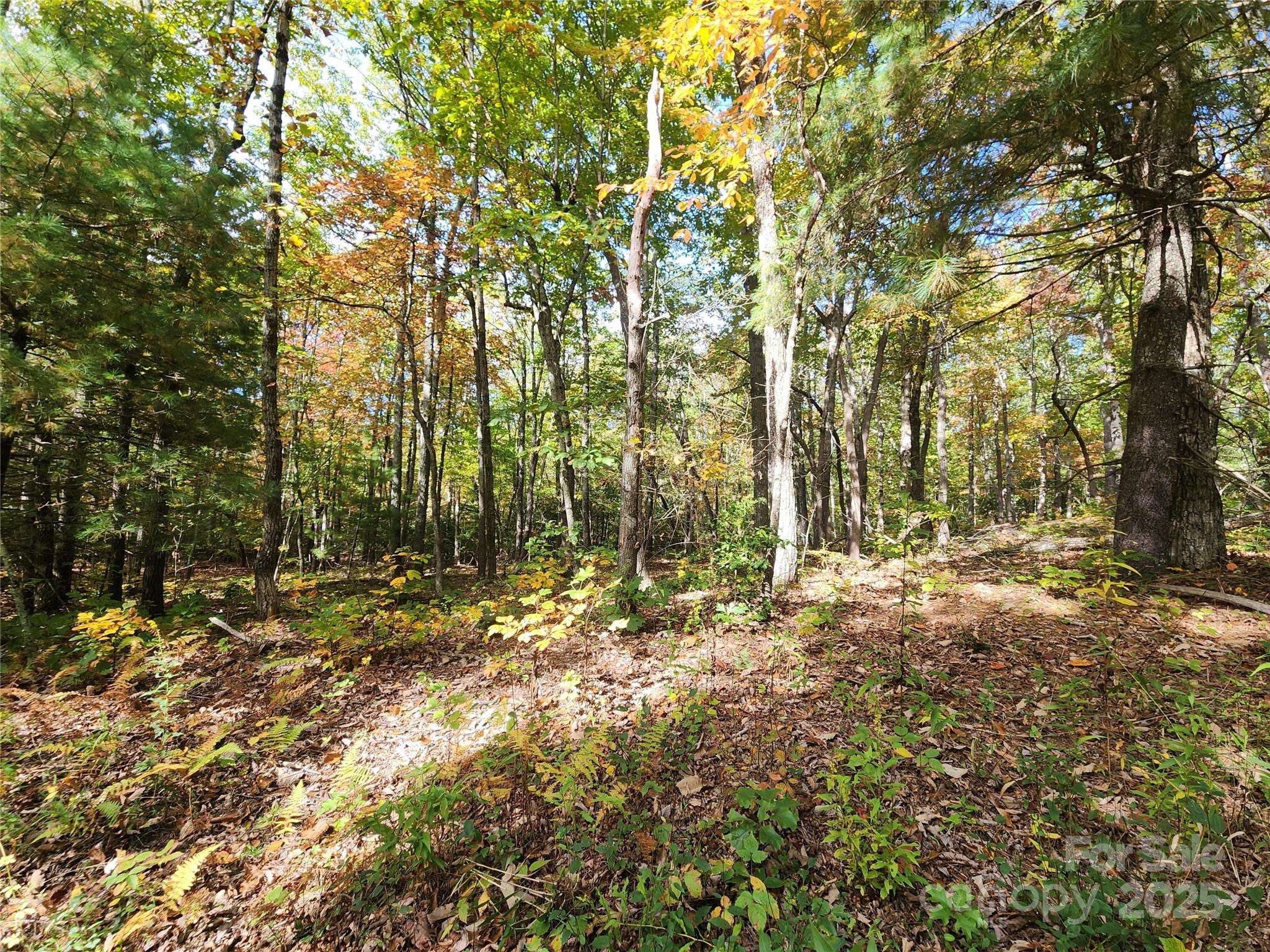 999999 N Pointe DR #1, Zirconia, NC 28790