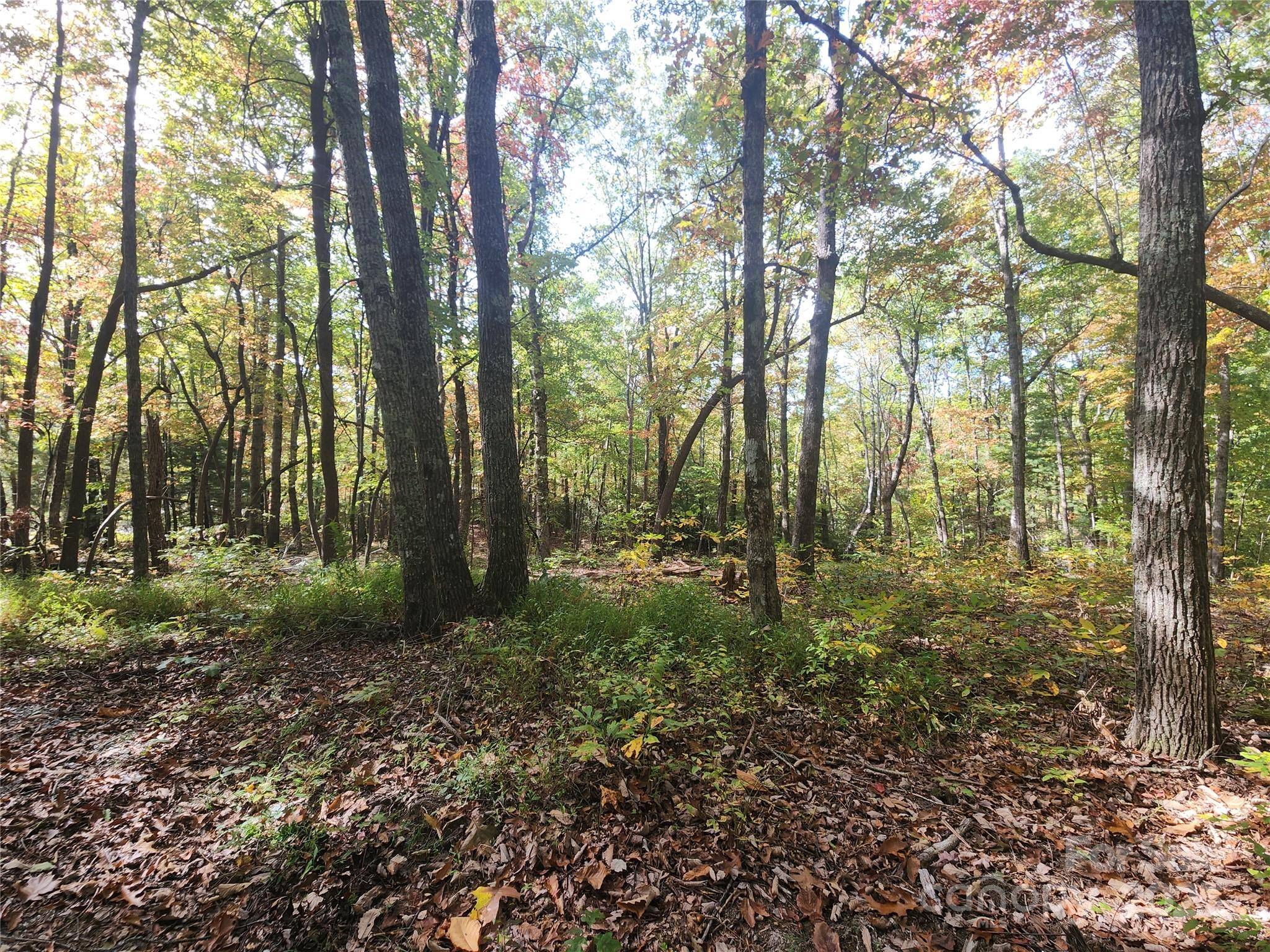 999999 N Pointe DR #1, Zirconia, NC 28790