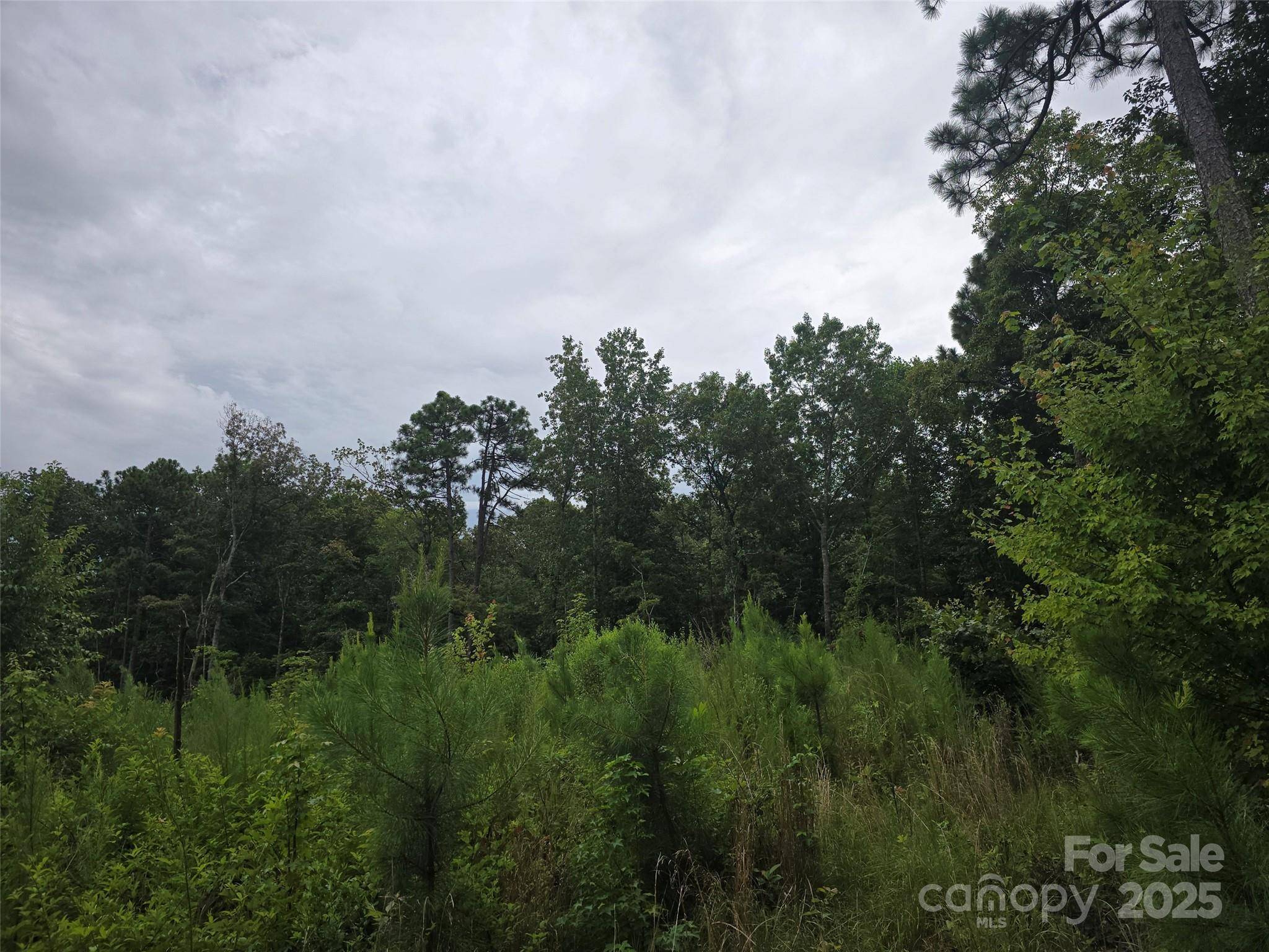 0 N NC 109 HWY, Troy, NC 27371