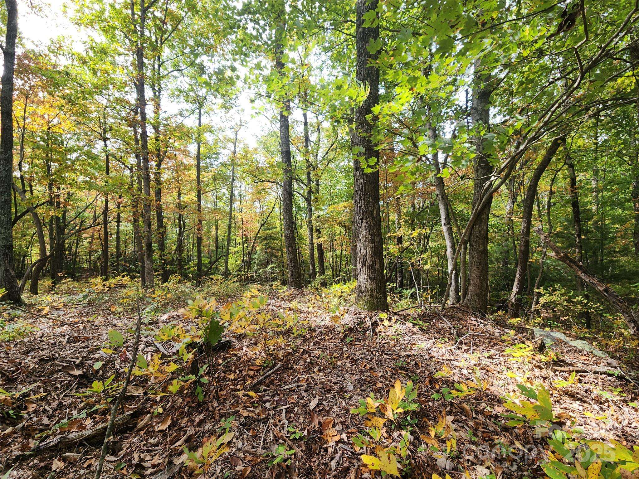99999 N Pointe DR #2, Zirconia, NC 28790