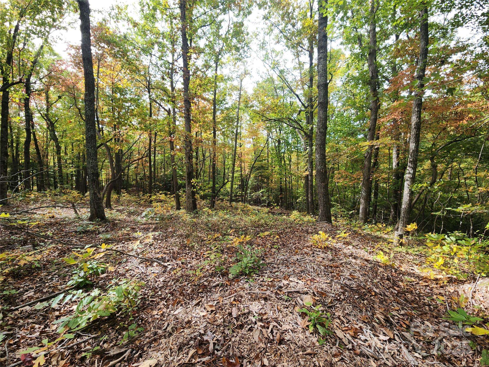 99999 N Pointe DR #2, Zirconia, NC 28790