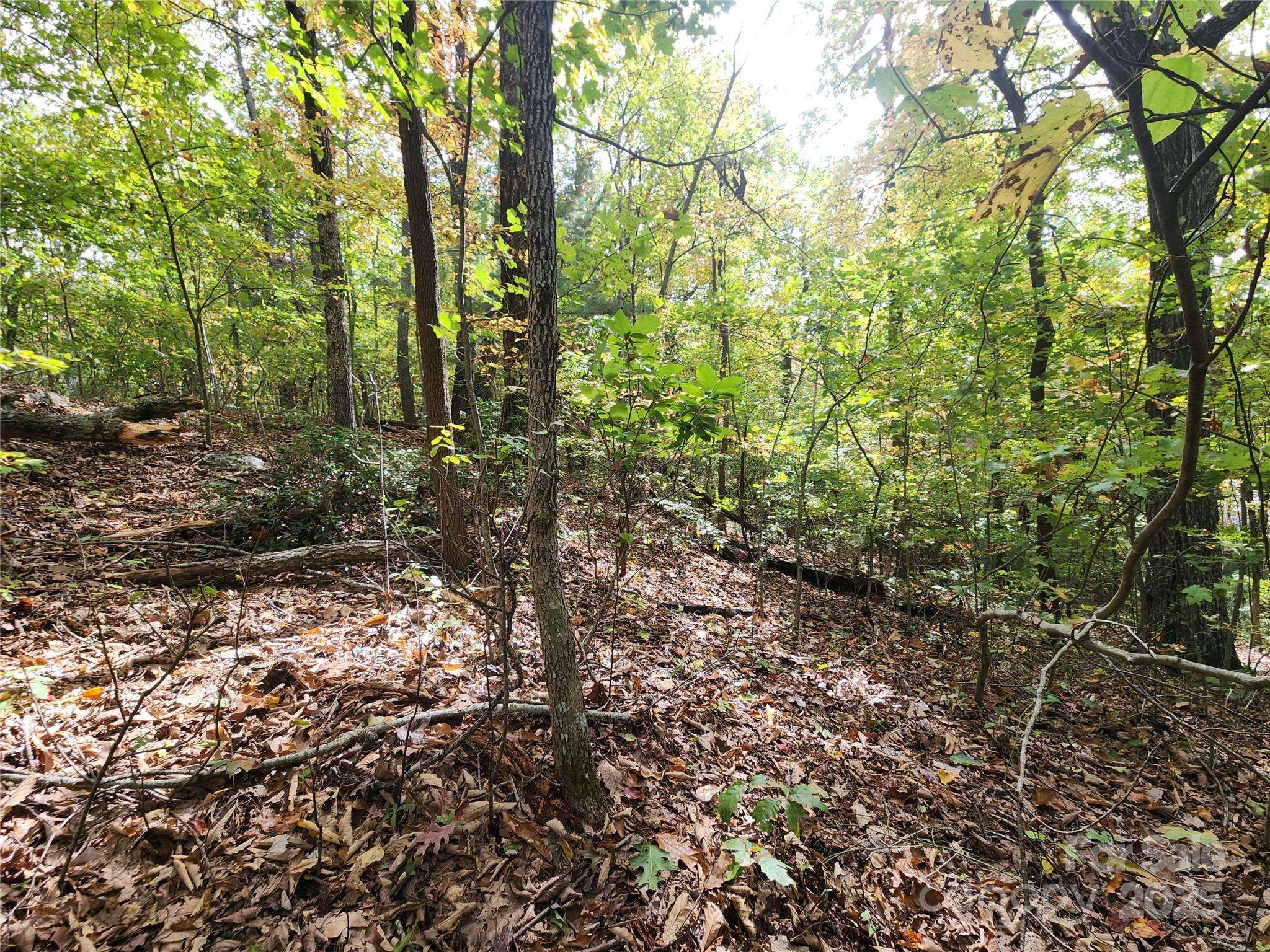 99999 N Pointe DR #3, Zirconia, NC 28790