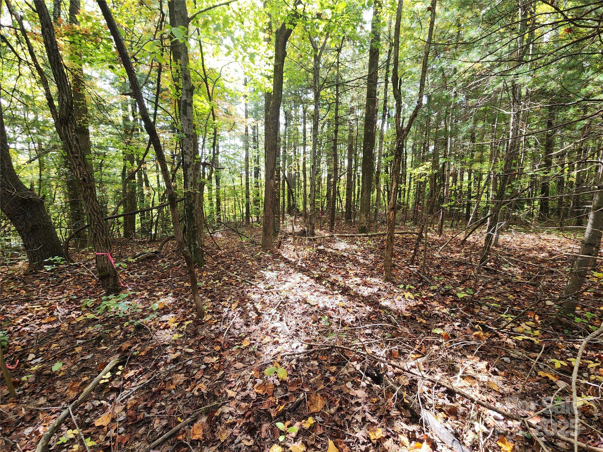 99999 N Pointe DR #5 and #30, Zirconia, NC 28790