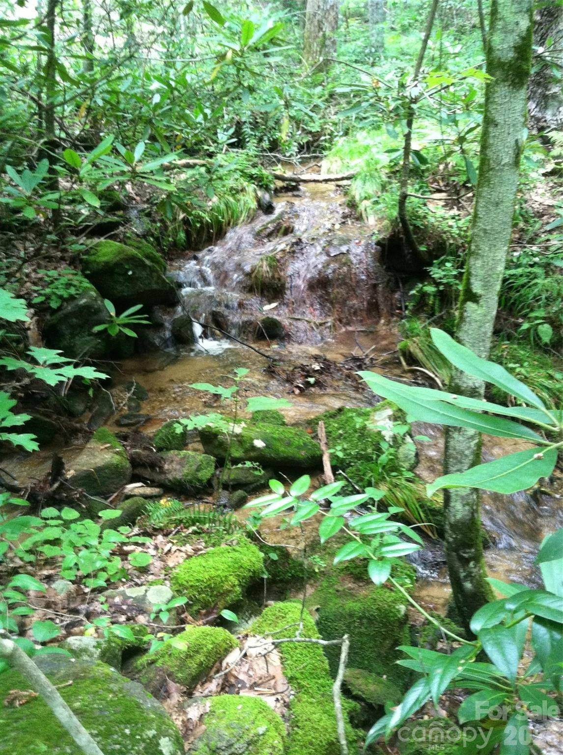 0 S Poplar DR #162, Lake Lure, NC 28746