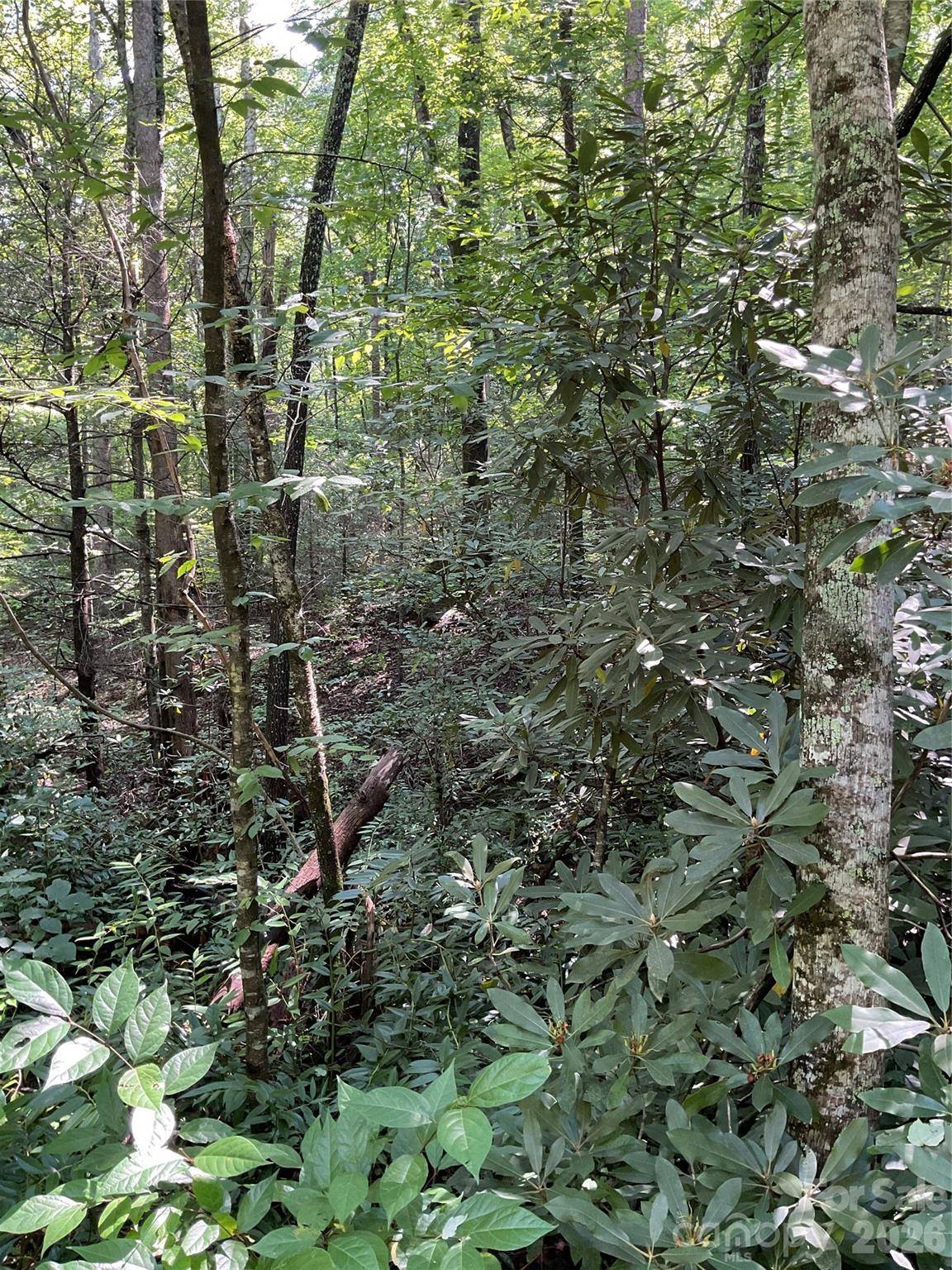 0 S Poplar DR #162, Lake Lure, NC 28746