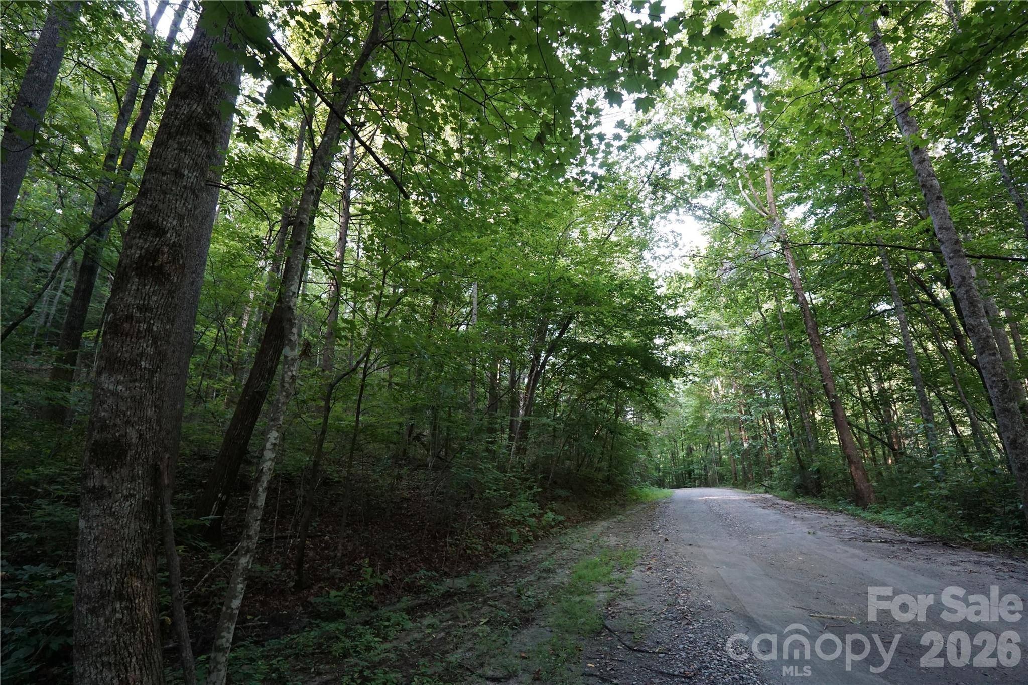 0 S Poplar DR #162, Lake Lure, NC 28746