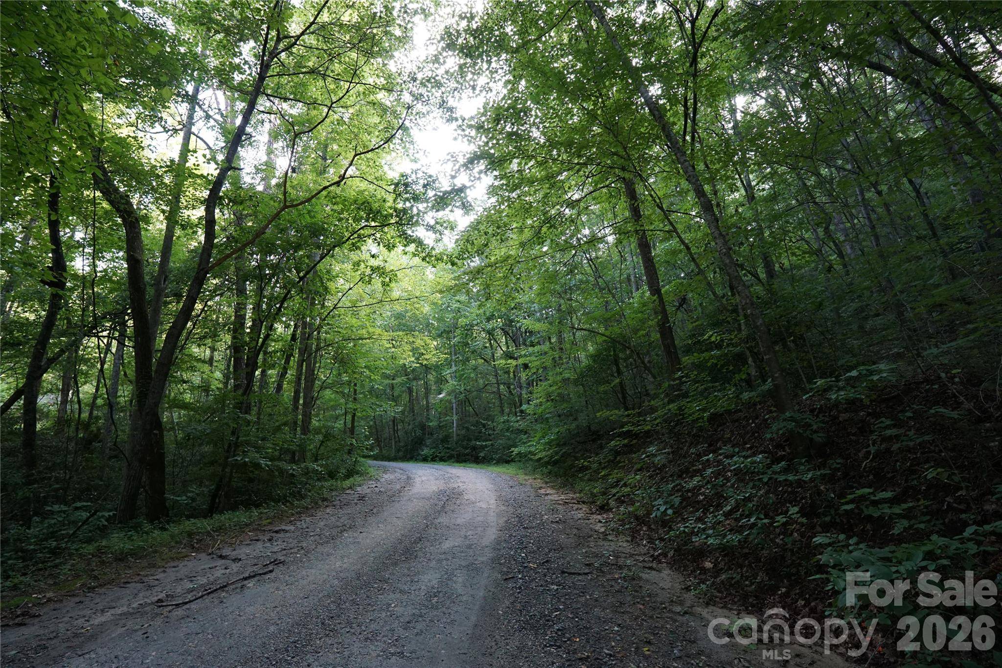 0 S Poplar DR #162, Lake Lure, NC 28746