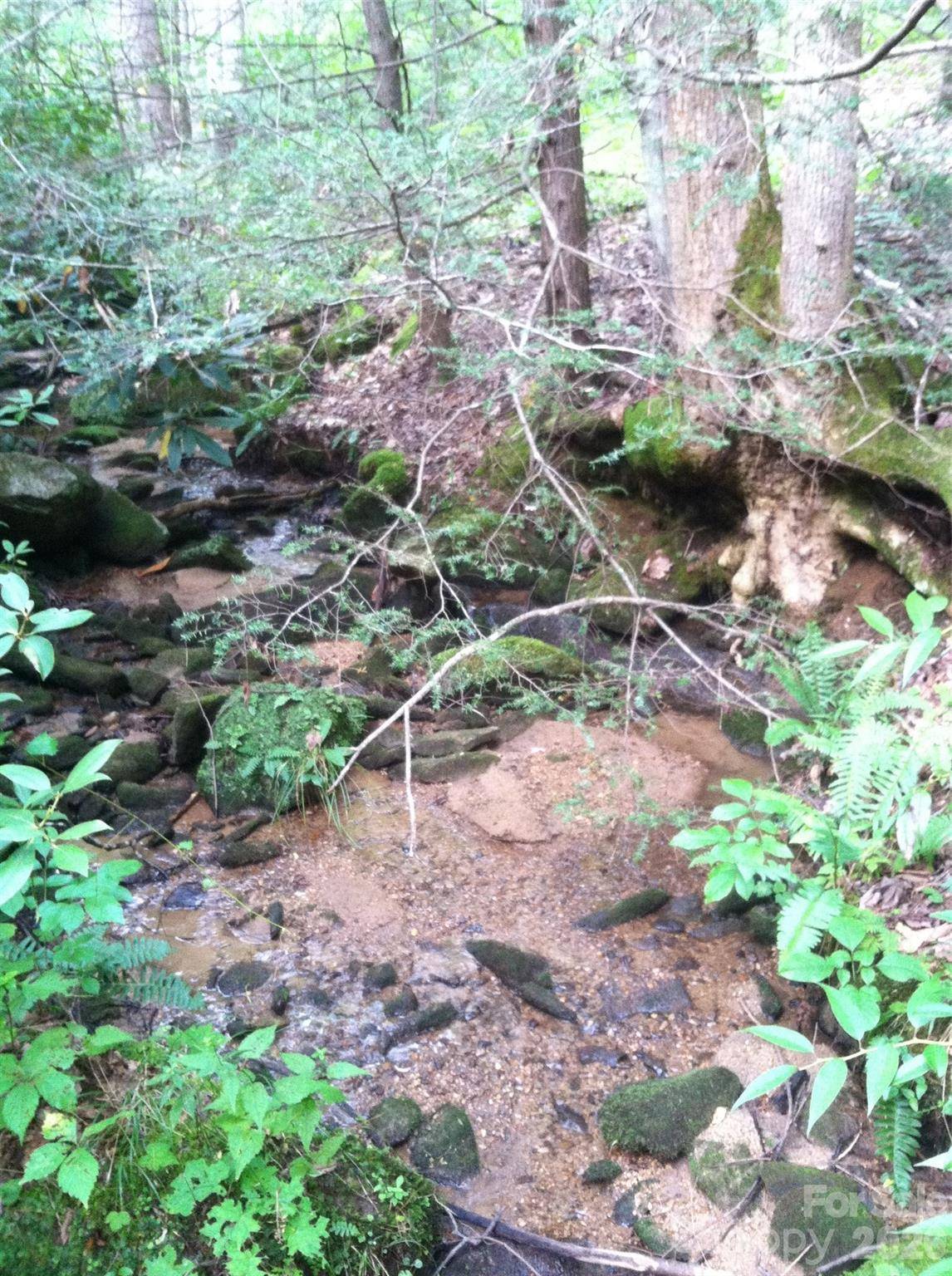 0 S Poplar DR #162, Lake Lure, NC 28746