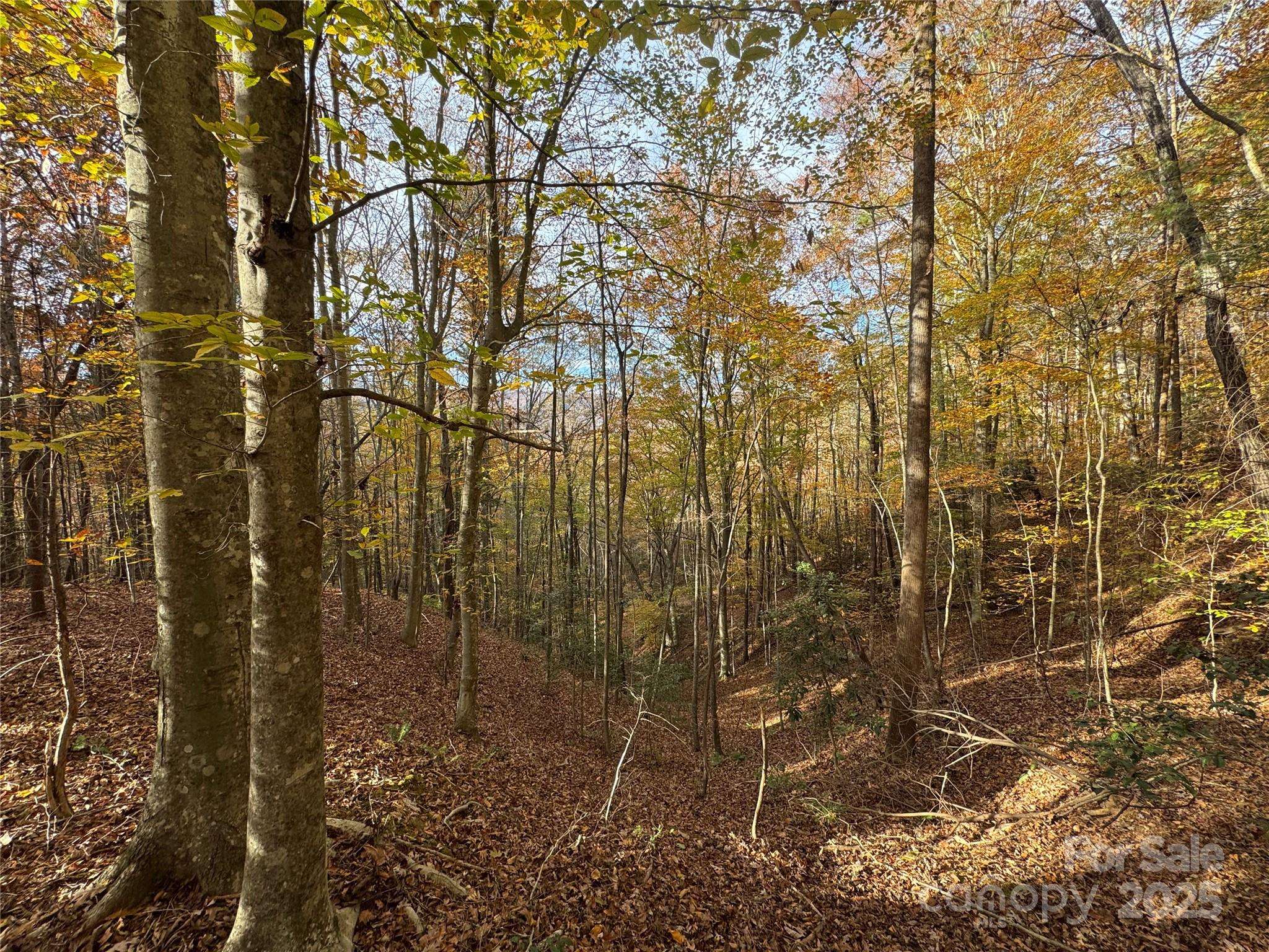 TBD Winklers Way RD, Lenoir, NC 28645