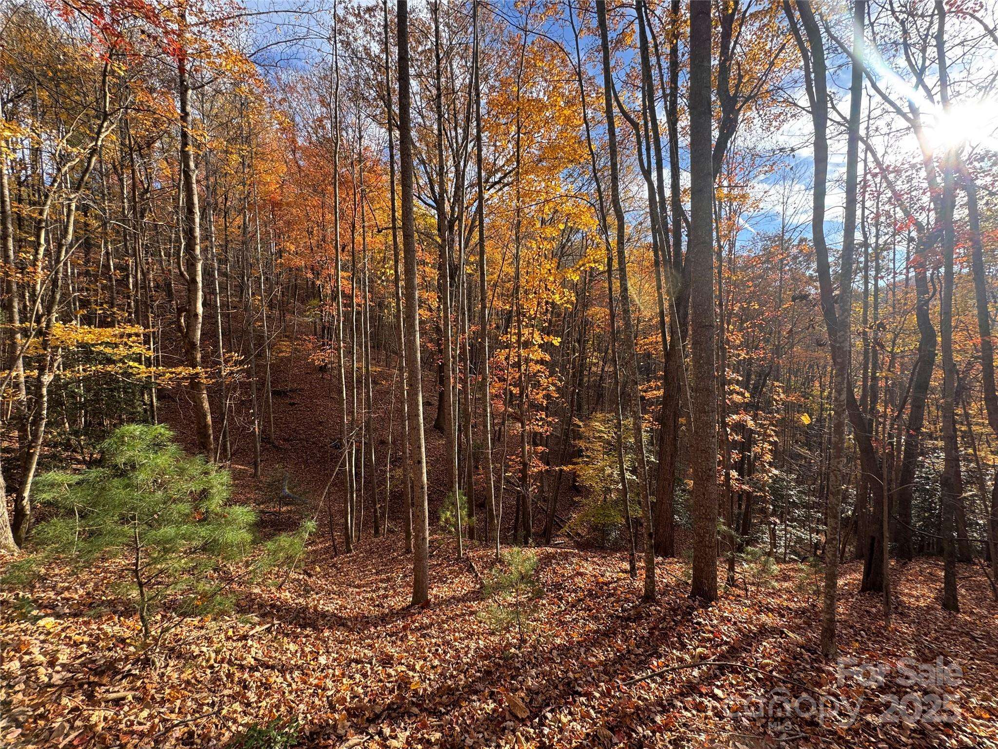 TBD Winklers Way RD, Lenoir, NC 28645