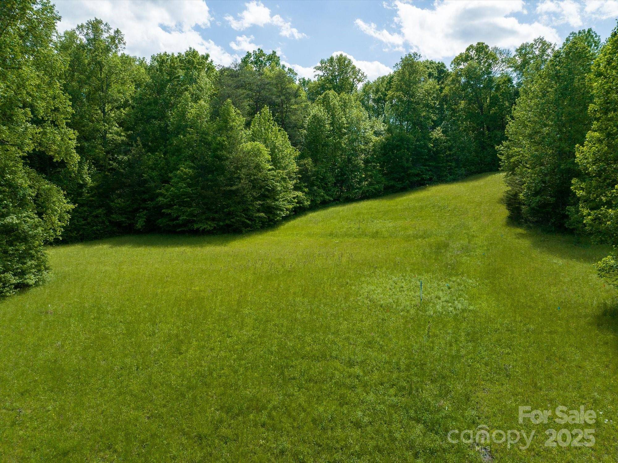0 W Mills ST, Columbus, NC 28722
