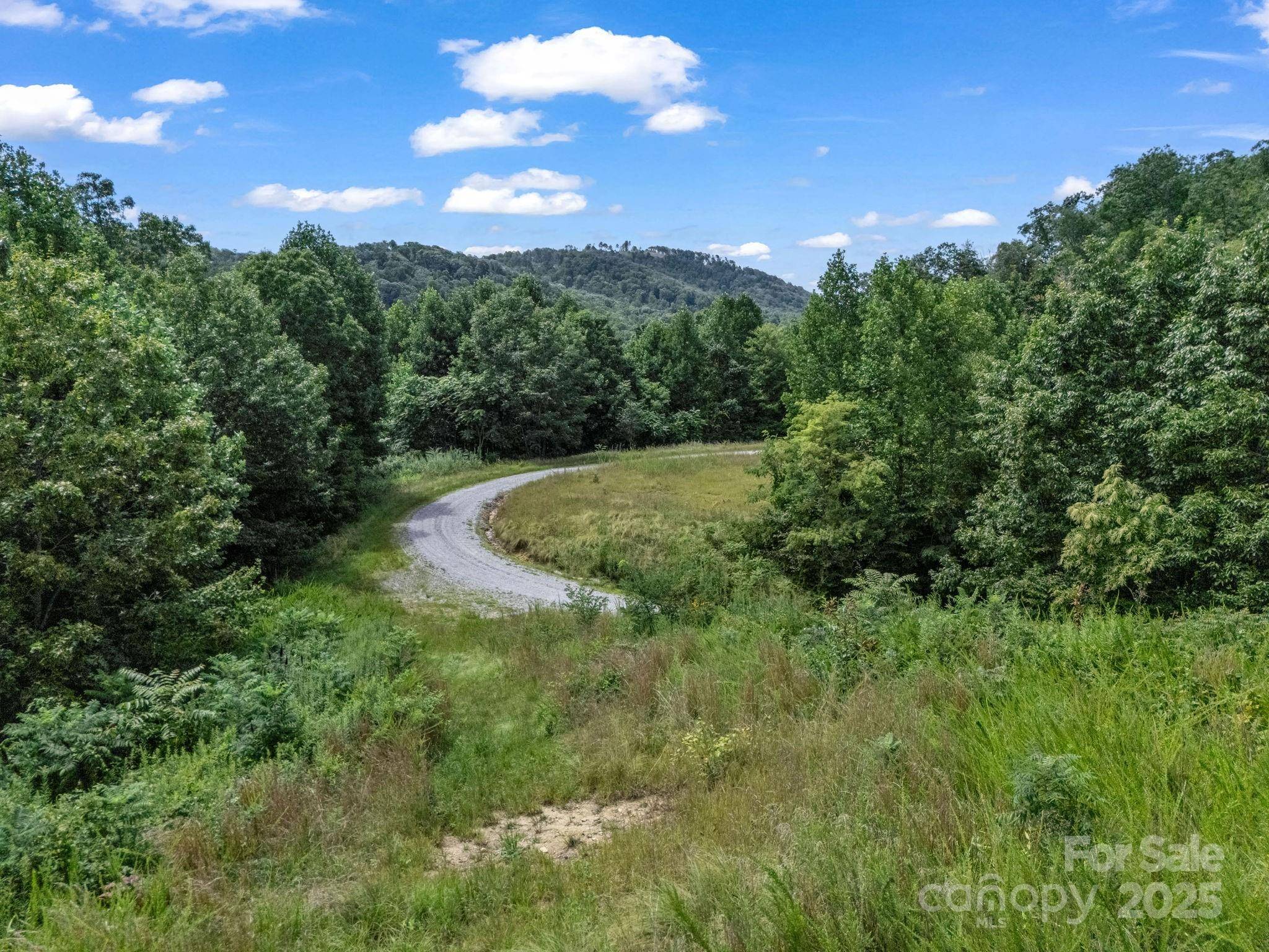 000 Climbing RD, Hendersonville, NC 28792