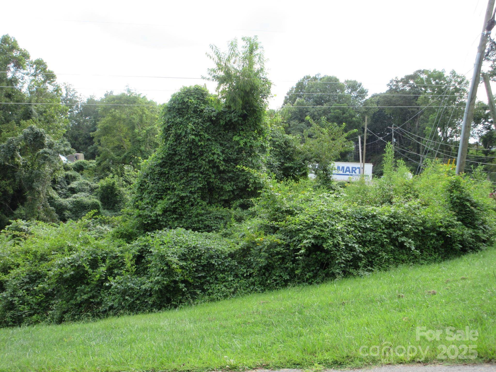 3 N Belgium LN, Asheville, NC 28806
