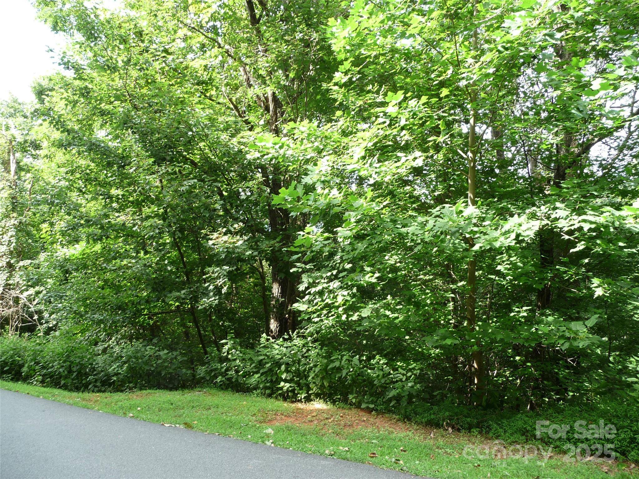 Lot 35 Morning Ride DR #Lot 35, Columbus, NC 28722