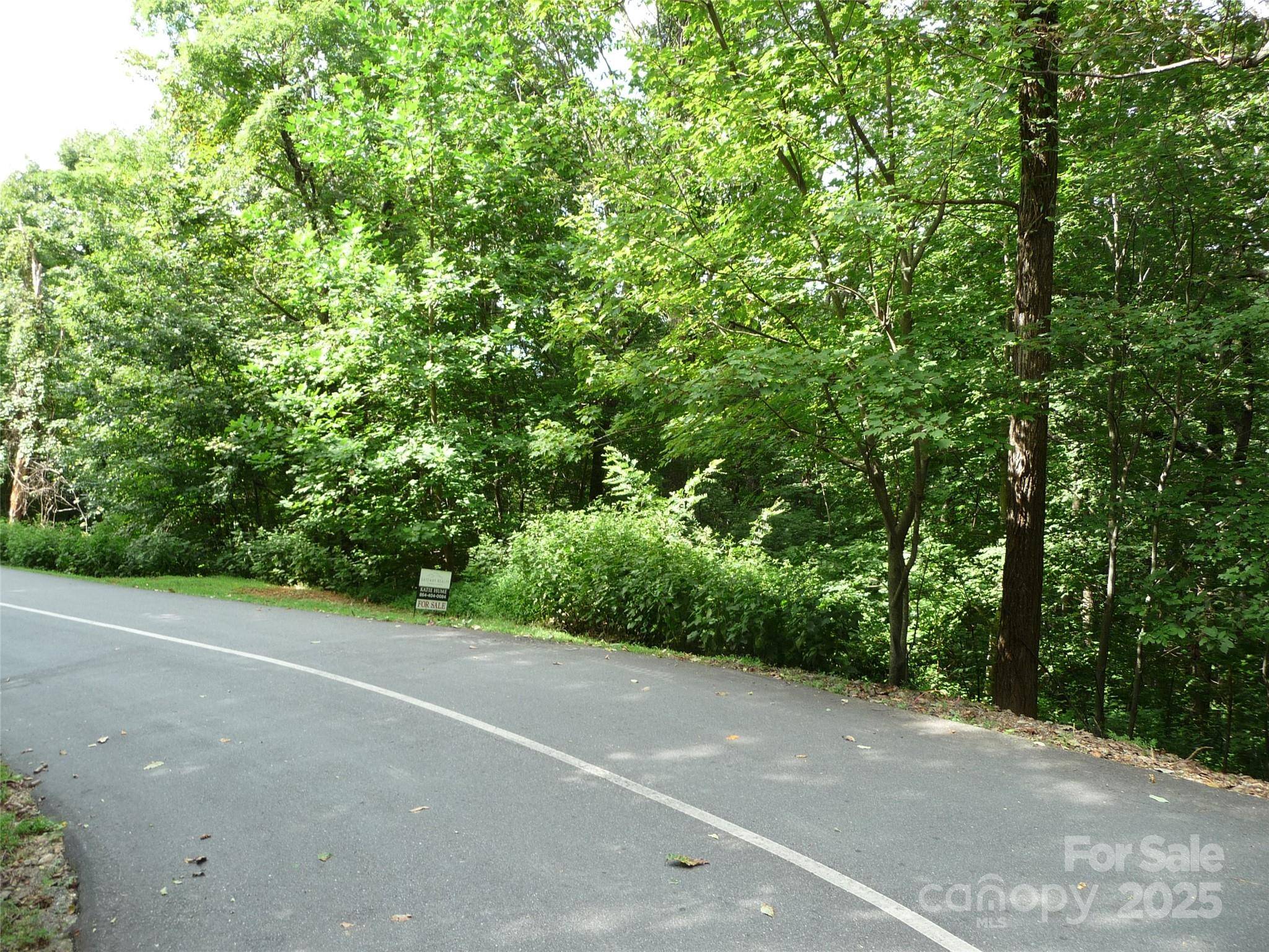Lot 35 Morning Ride DR #Lot 35, Columbus, NC 28722