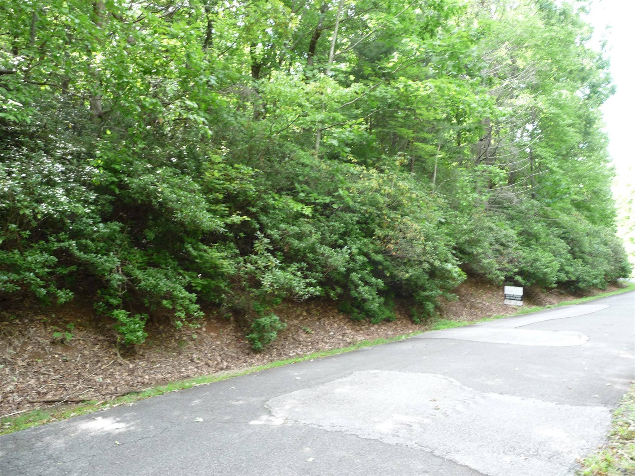 Lot 70 Serpentine DR #Lot 70, Columbus, NC 28722