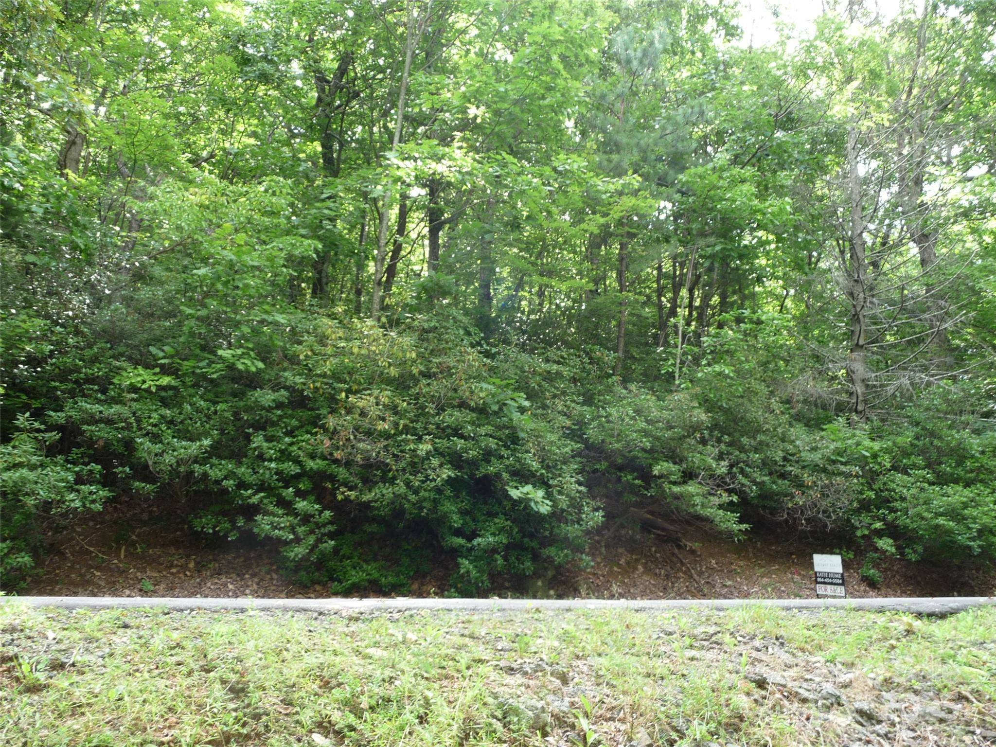 Lot 70 Serpentine DR #Lot 70, Columbus, NC 28722