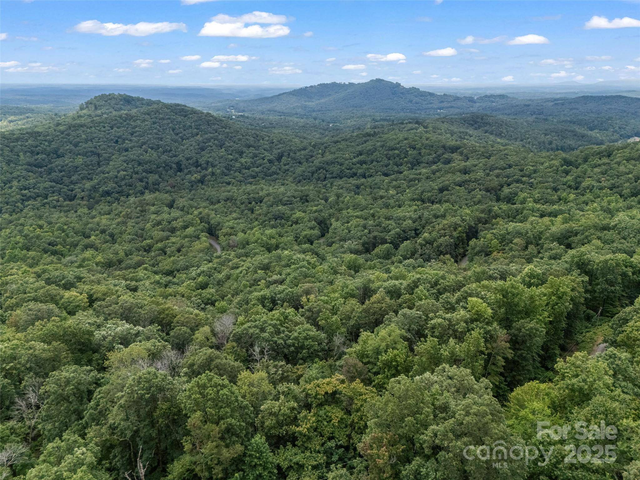 0 Peartree DR #526, Lake Lure, NC 28746