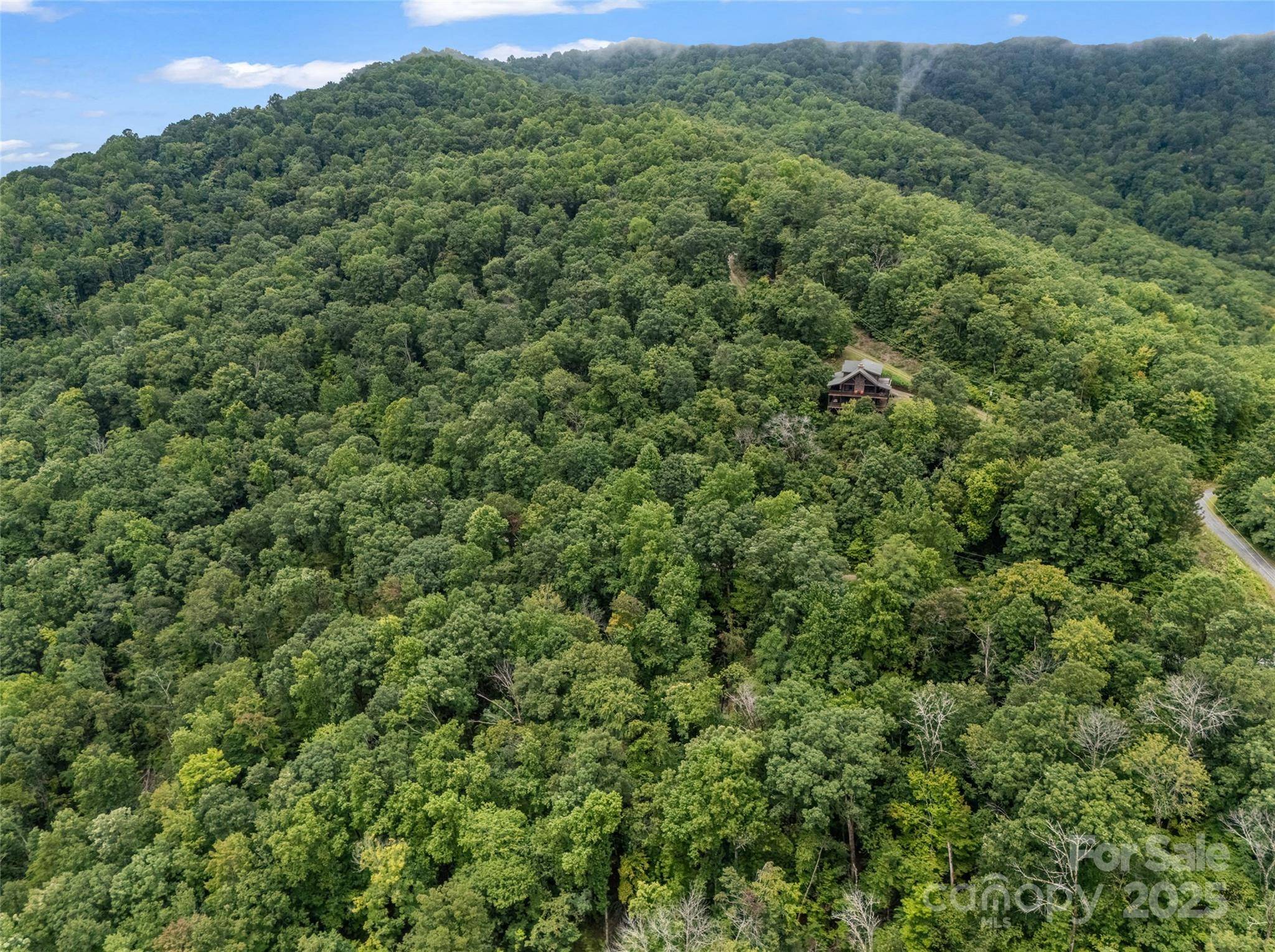 0 Peartree DR #526, Lake Lure, NC 28746