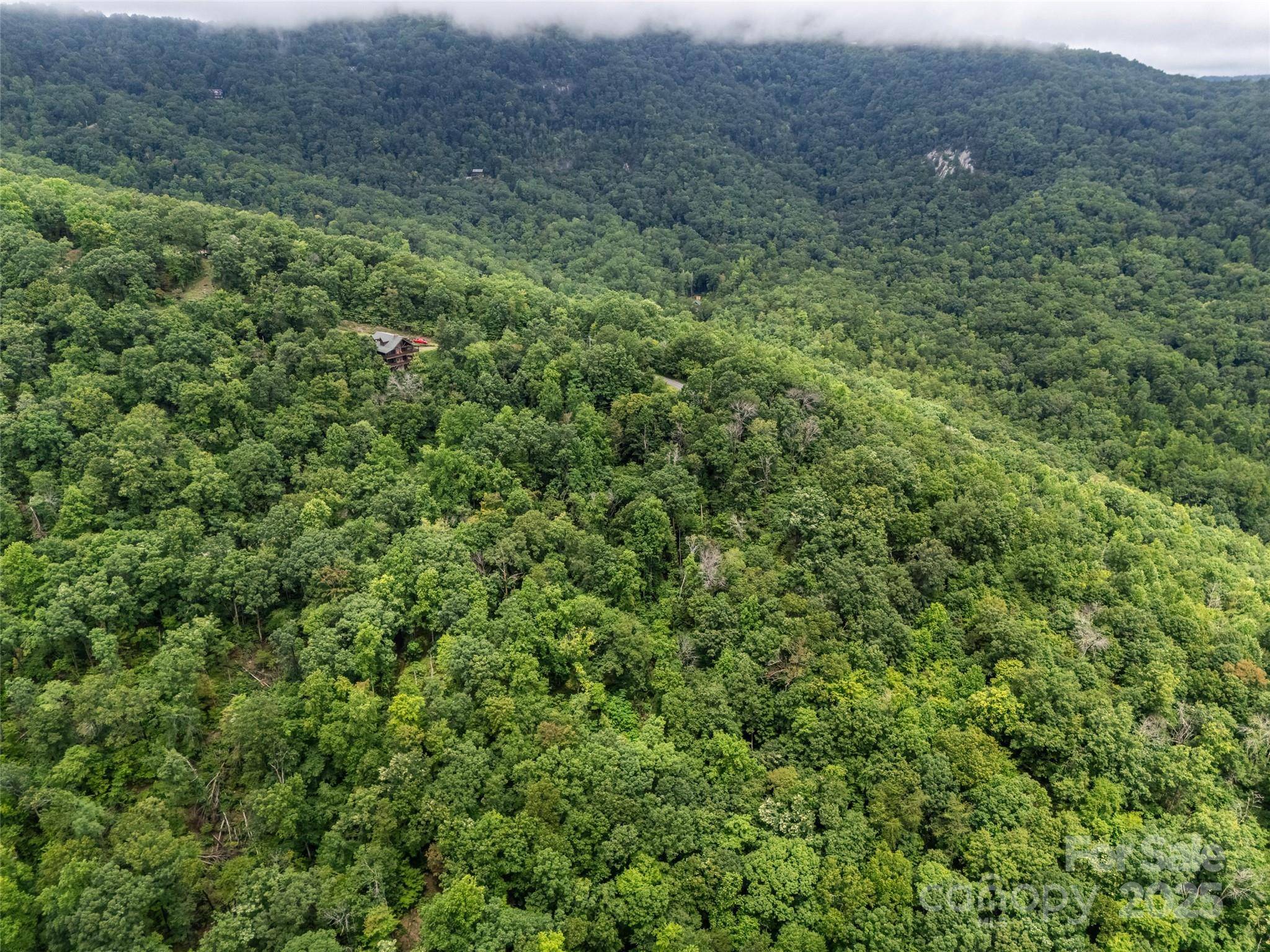 0 Peartree DR #526, Lake Lure, NC 28746
