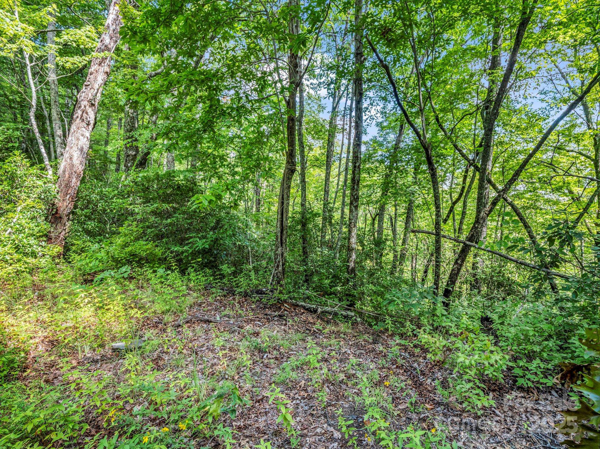 TBD Frozen Creek RD, Brevard, NC 28712