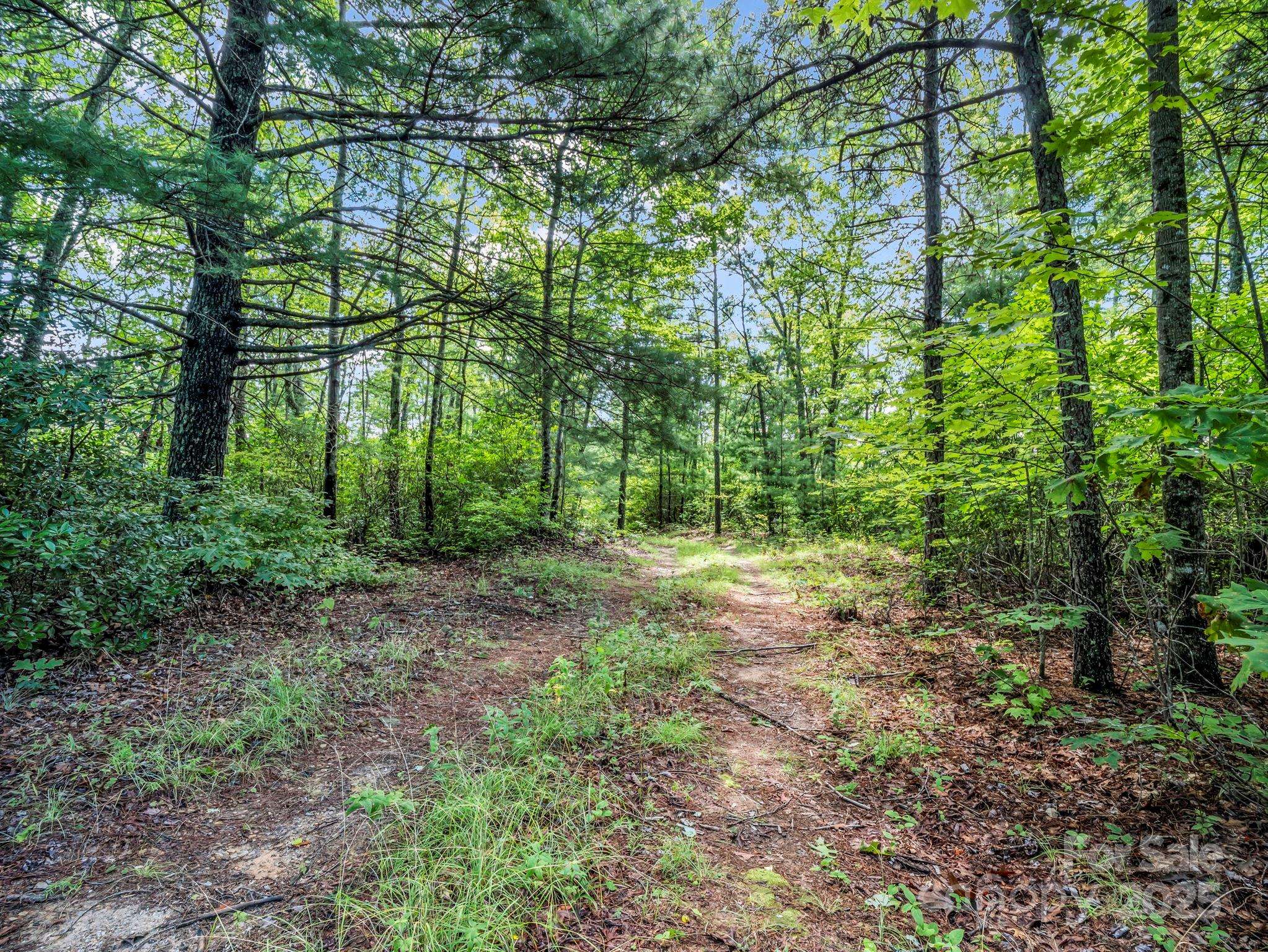 TBD Frozen Creek RD, Brevard, NC 28712