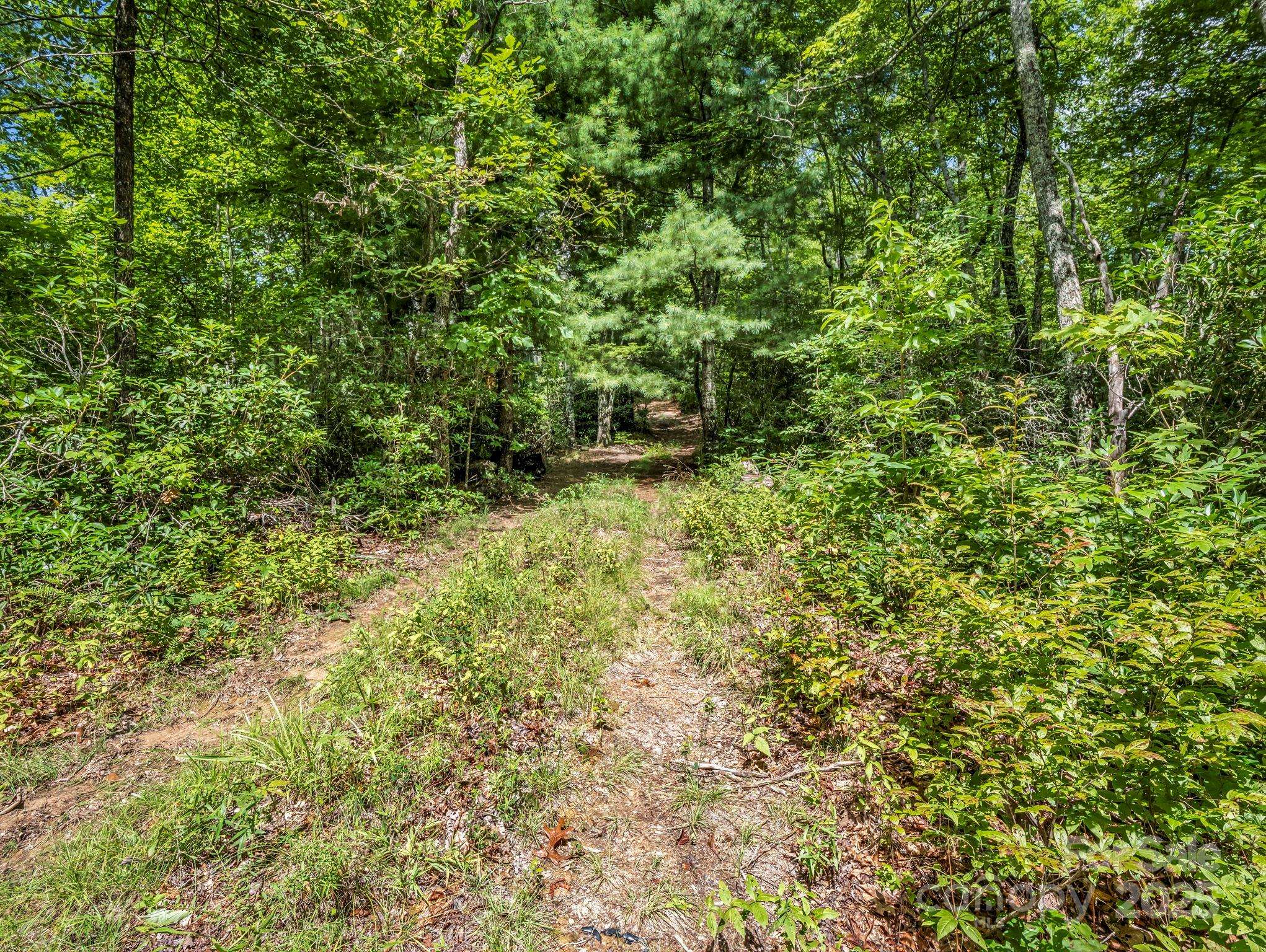 TBD Frozen Creek RD, Brevard, NC 28712