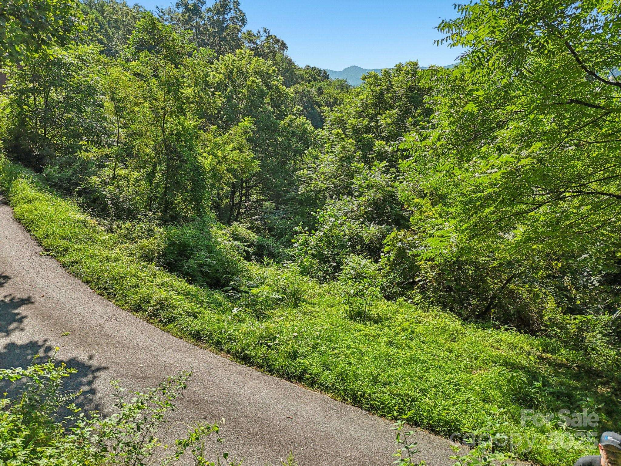 50 Slim RDG, Maggie Valley, NC 28751