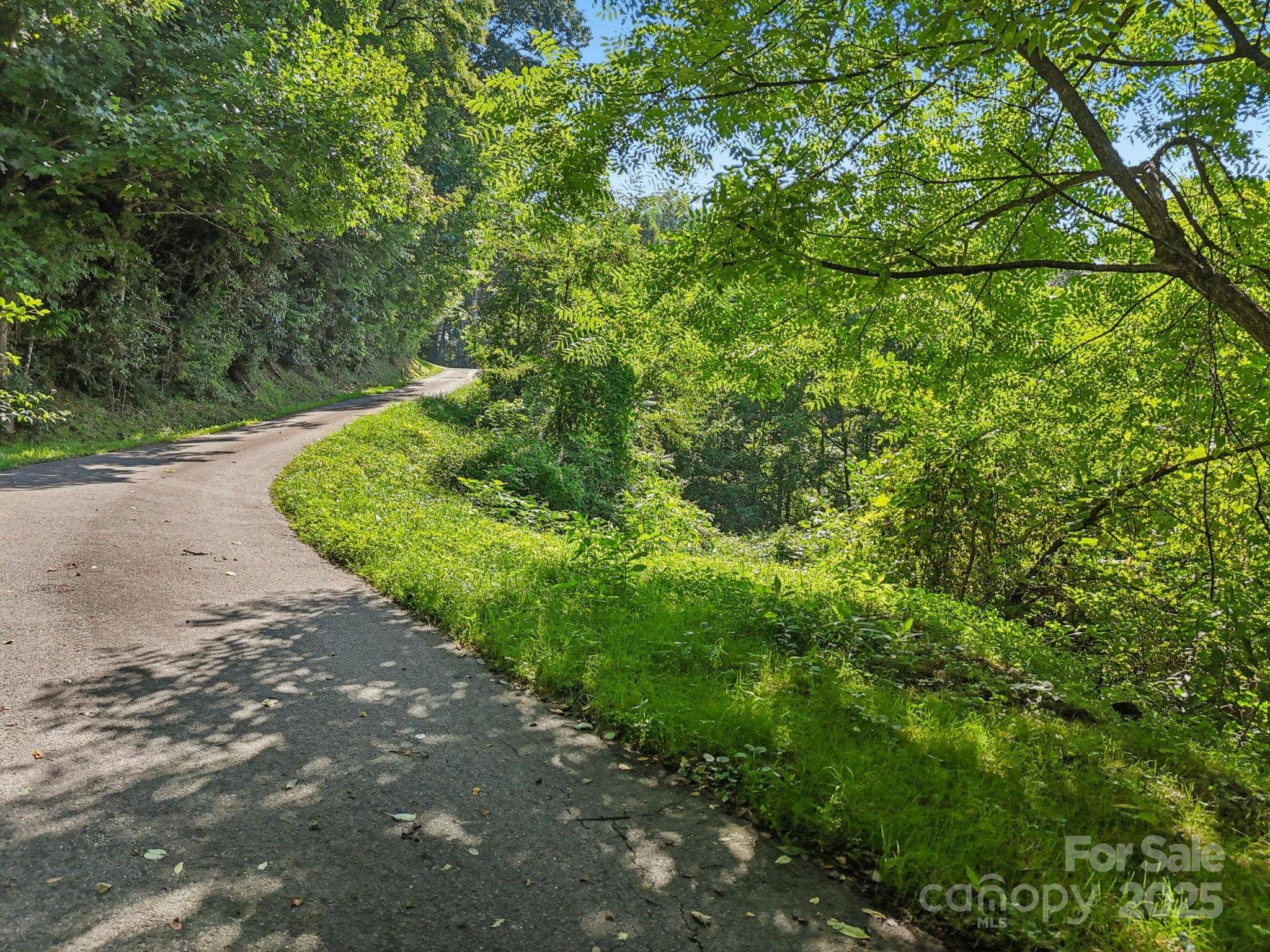 50 Slim RDG, Maggie Valley, NC 28751