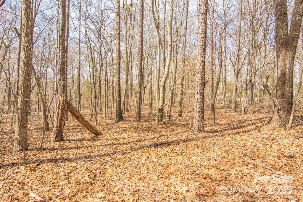 000 Jim Wilson RD, Indian Land, SC 29707