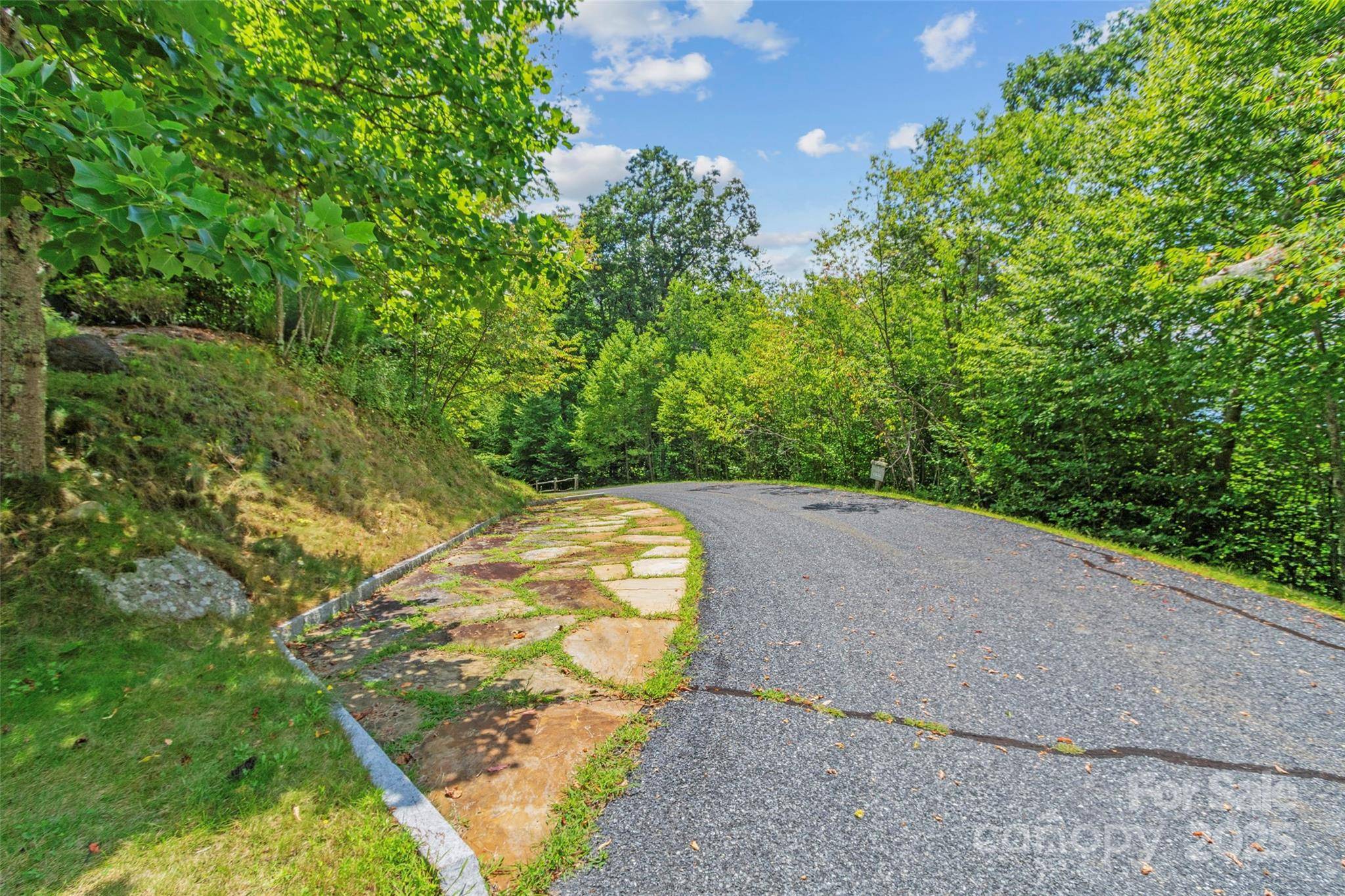 Lot 9 Wormy Chestnut RD, Burnsville, NC 28714