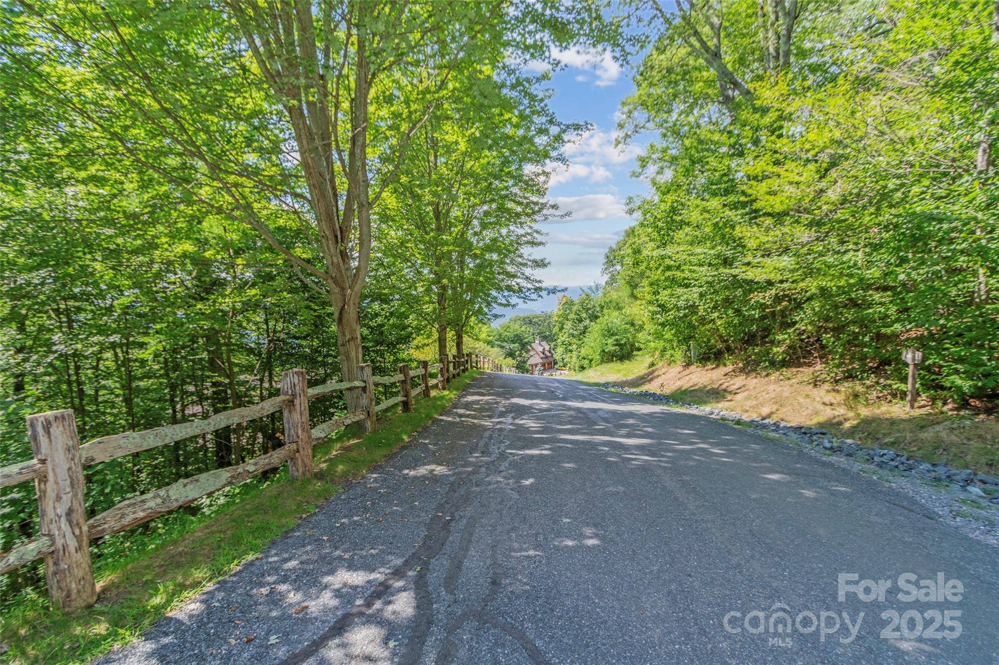 Lot 9 Wormy Chestnut RD, Burnsville, NC 28714