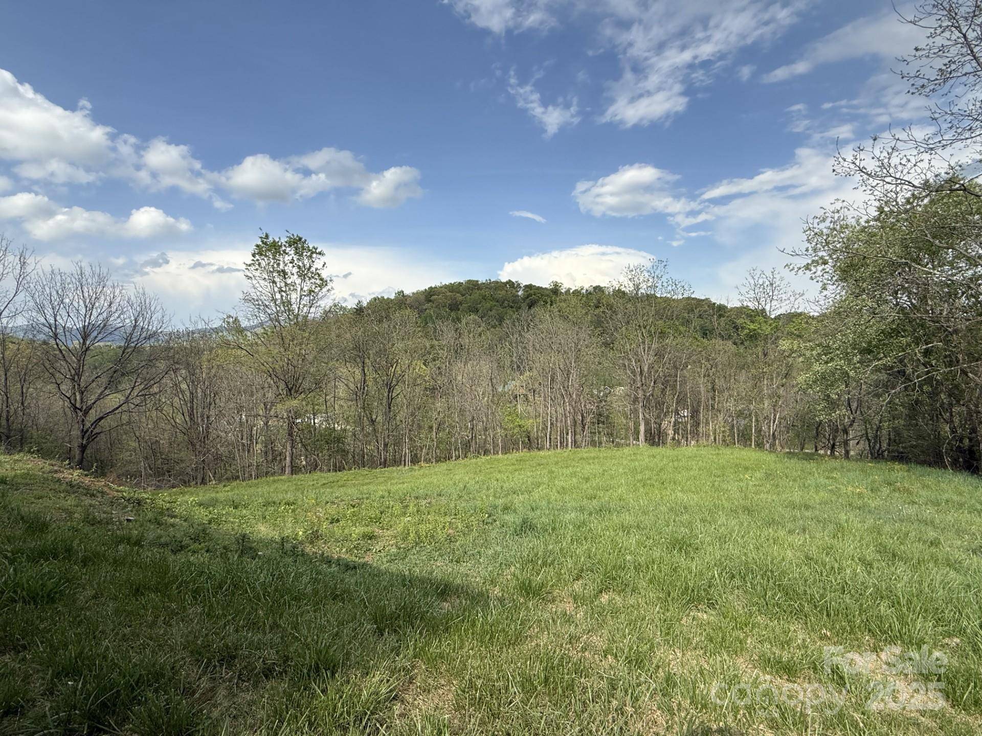 284 Northridge DR, Canton, NC 28716