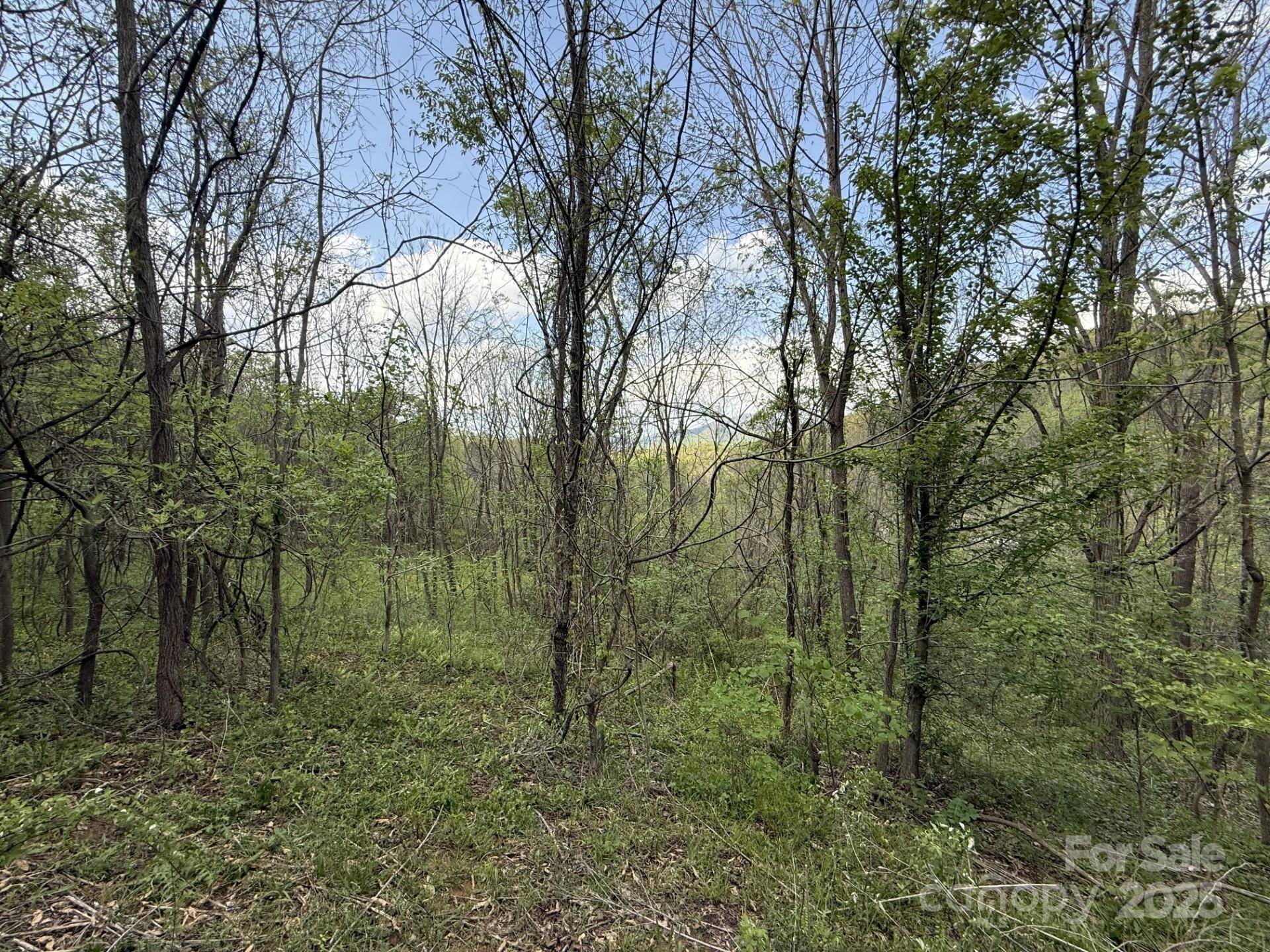 284 Northridge DR, Canton, NC 28716