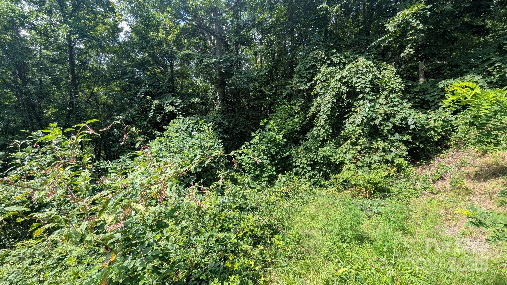 00 Pinewood DR #7, Waynesville, NC 28786