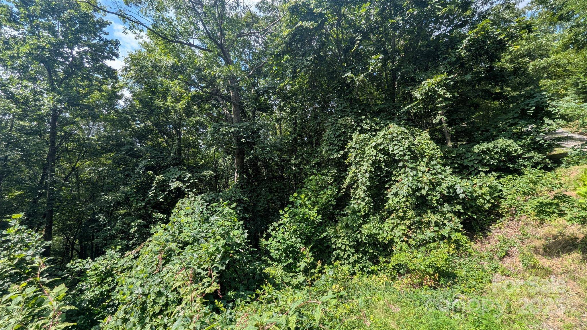 00 Pinewood DR #7, Waynesville, NC 28786