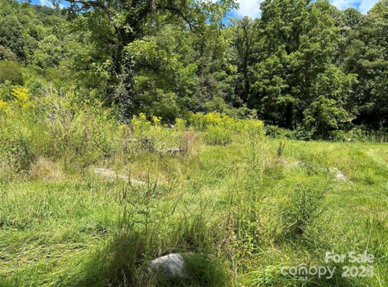108 Lanning RD, Clyde, NC 28721
