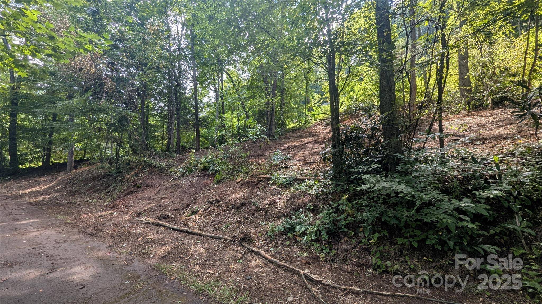 707 Apple Tree CT #32, Waynesville, NC 28786