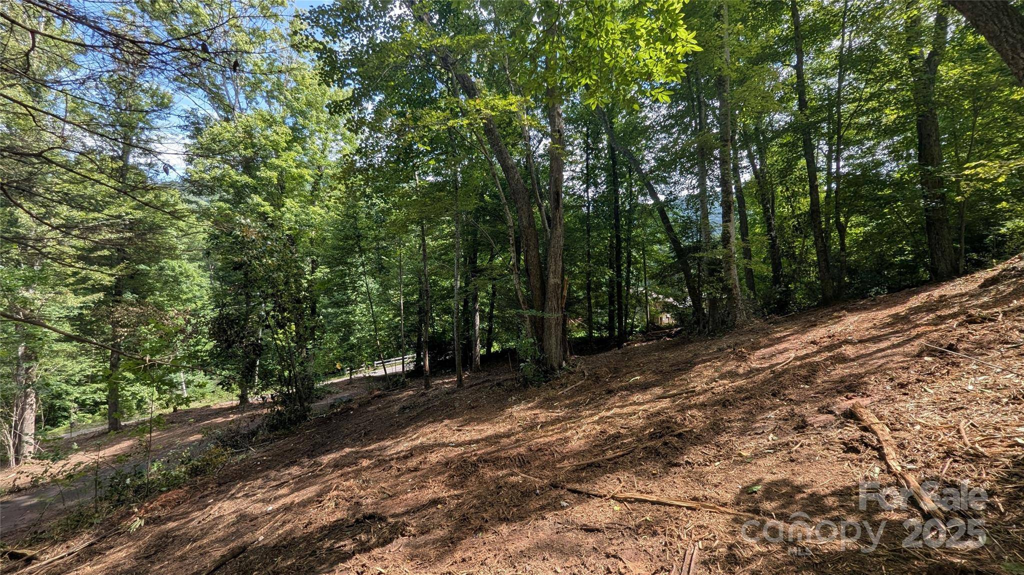 707 Apple Tree CT #32, Waynesville, NC 28786