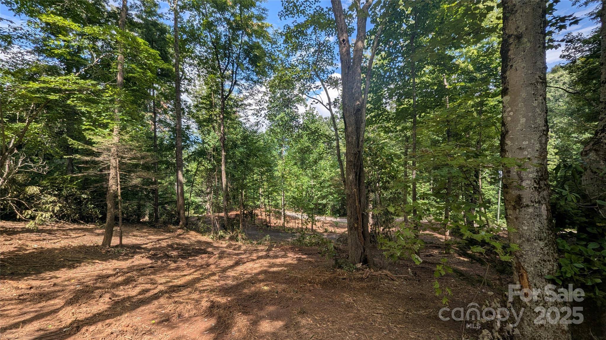 707 Apple Tree CT #32, Waynesville, NC 28786