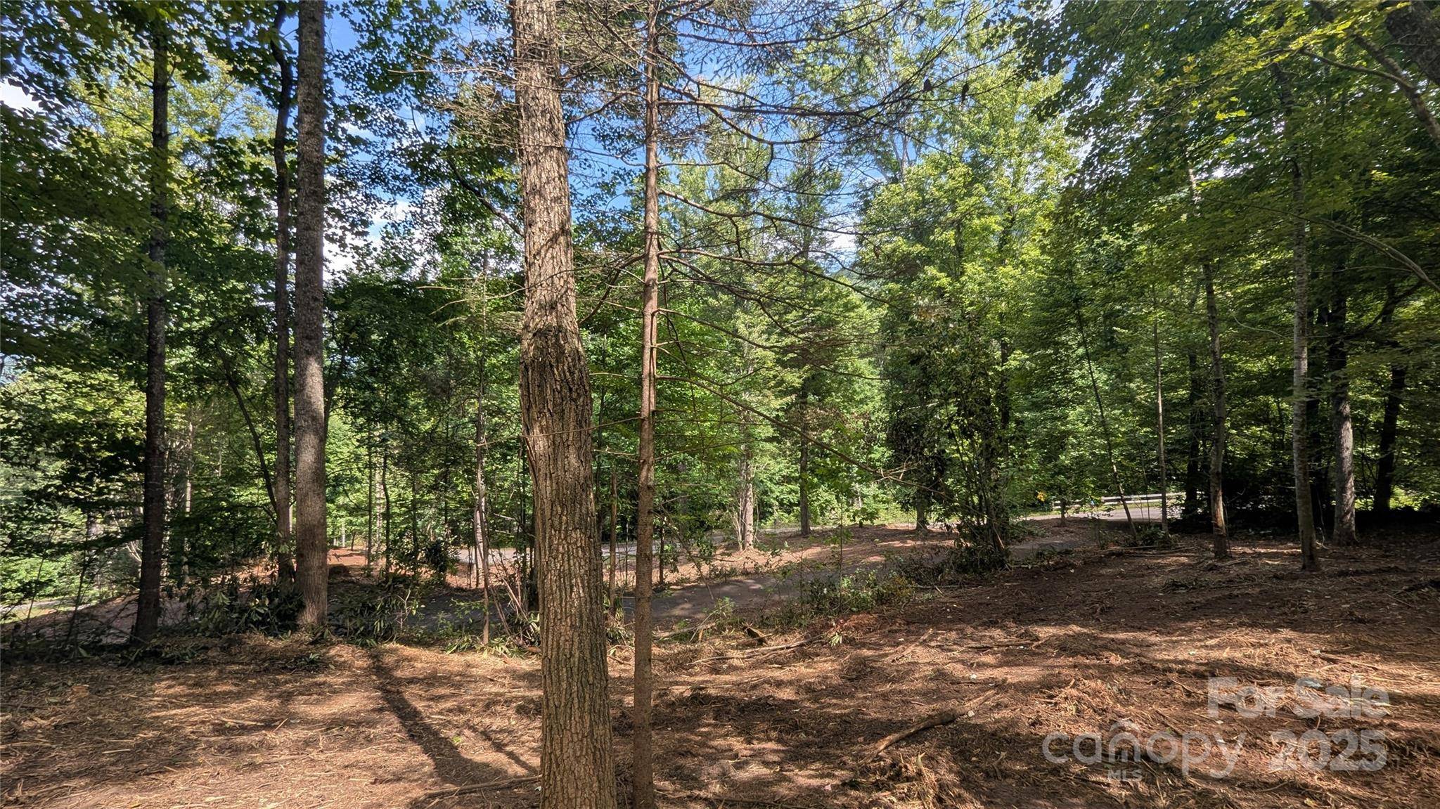 707 Apple Tree CT #32, Waynesville, NC 28786