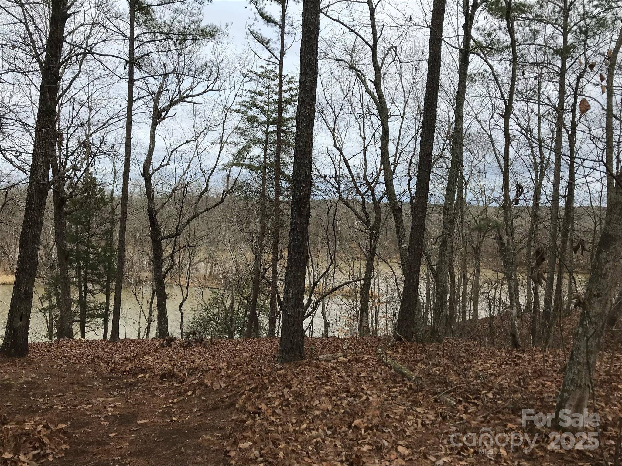68 Lakeside TRL #68, Lilesville, NC 28170