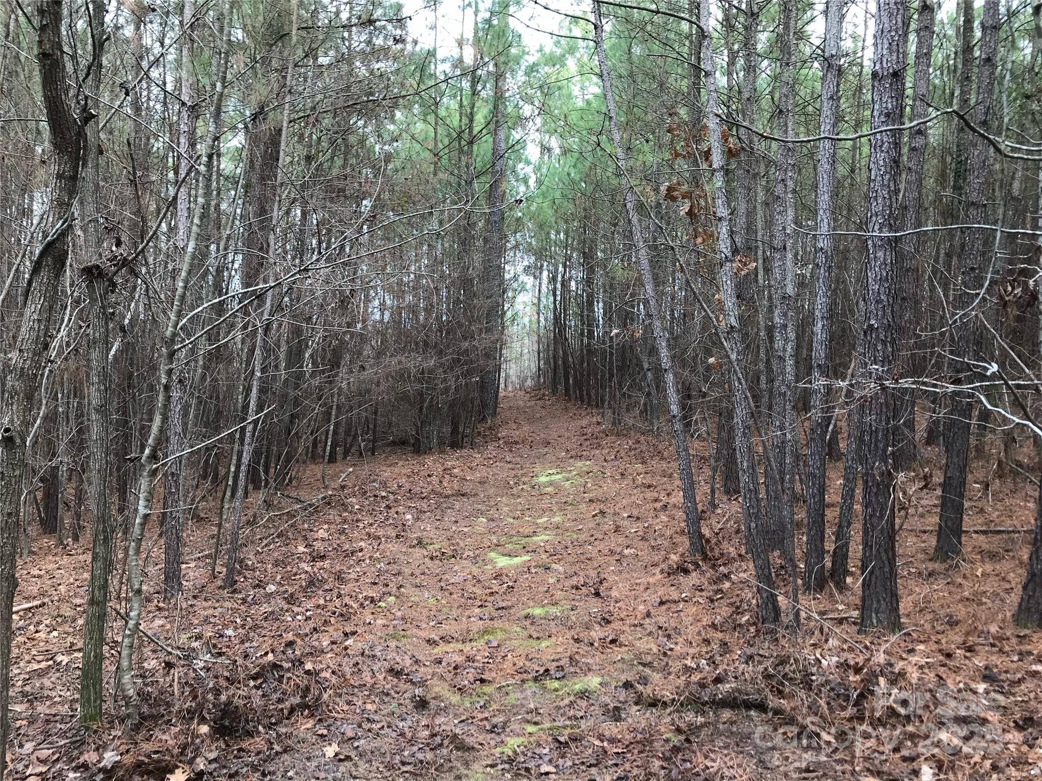 68 Lakeside TRL #68, Lilesville, NC 28170