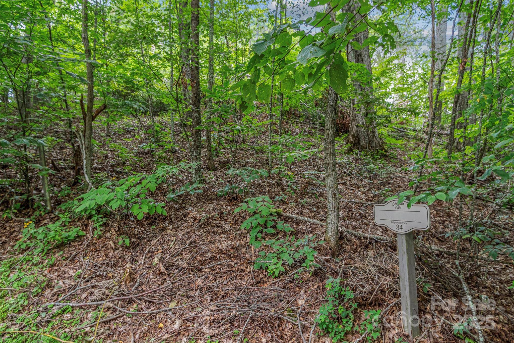 Lot 84 Ridgepoint VW #84/1, Burnsville, NC 28714