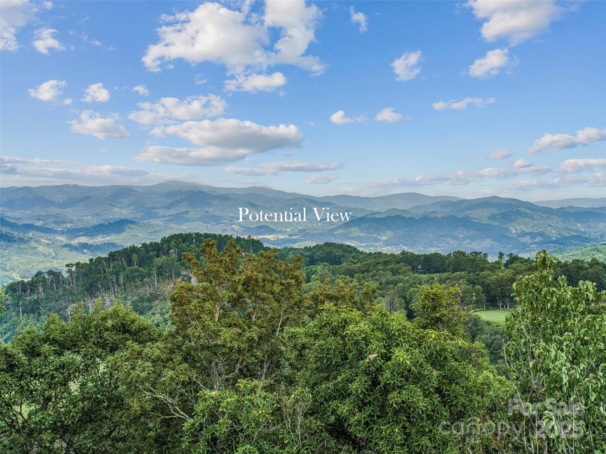 Lot 84 Ridgepoint VW #84/1, Burnsville, NC 28714