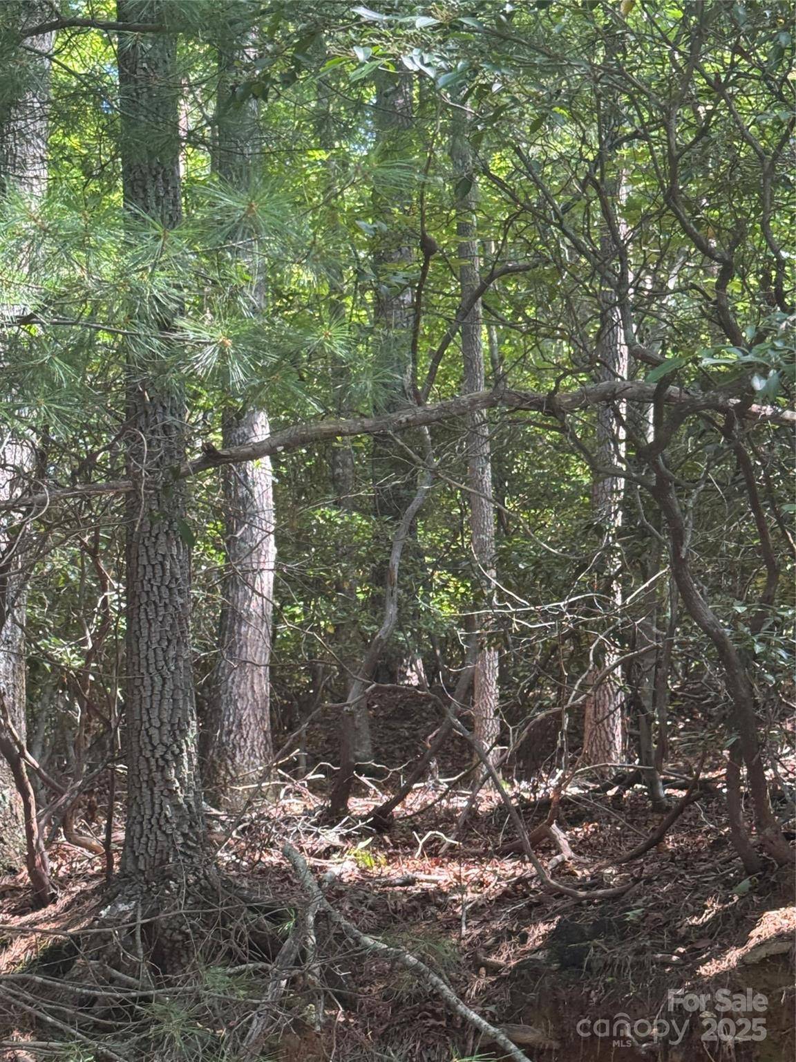 23 Red Oak DR, Mills River, NC 28759