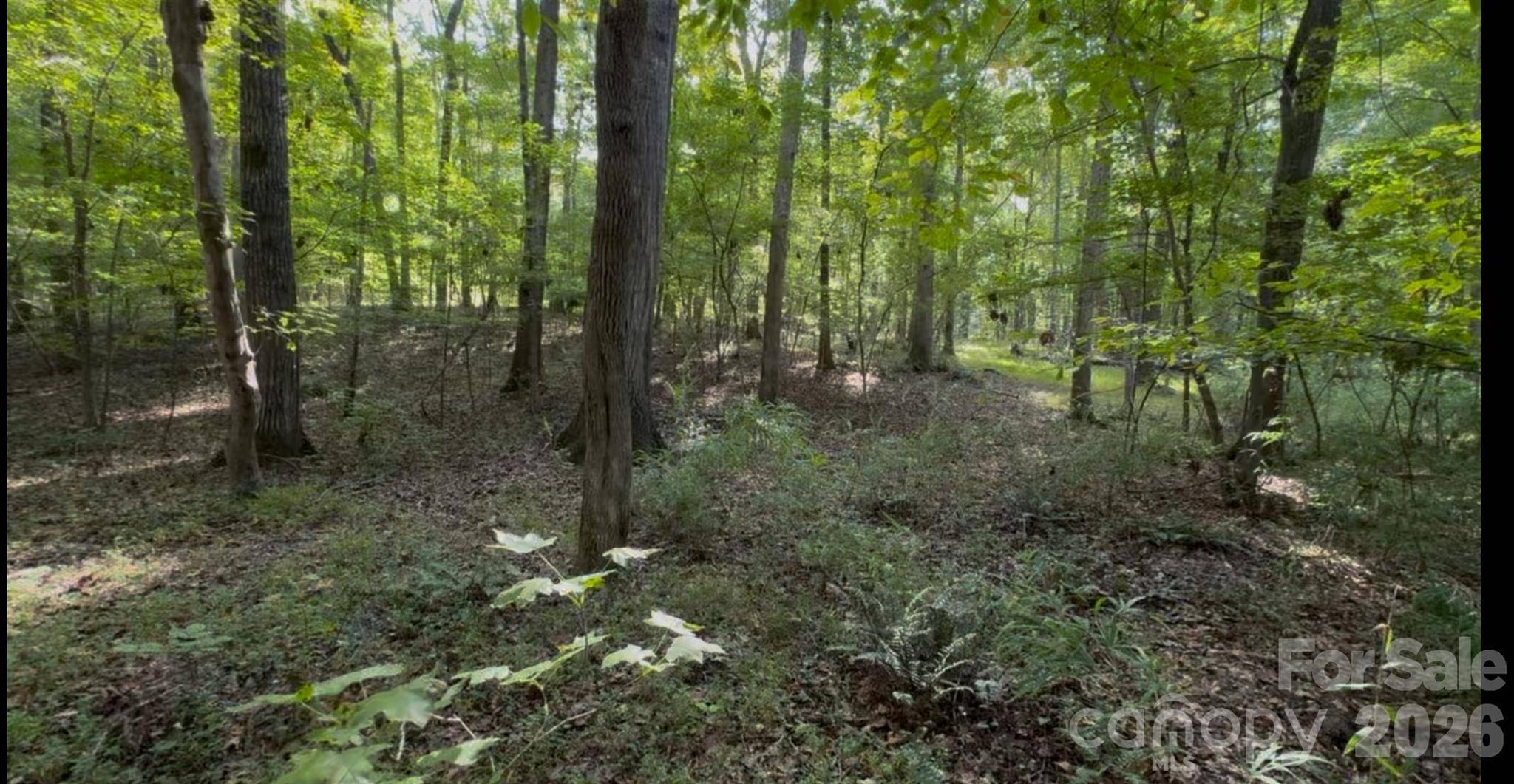 1402 Bloomsberry LN, Waxhaw, NC 28173